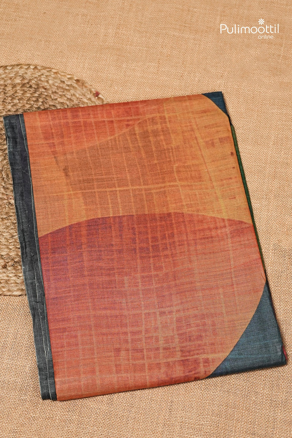 Multicolour Tussar Silk Saree