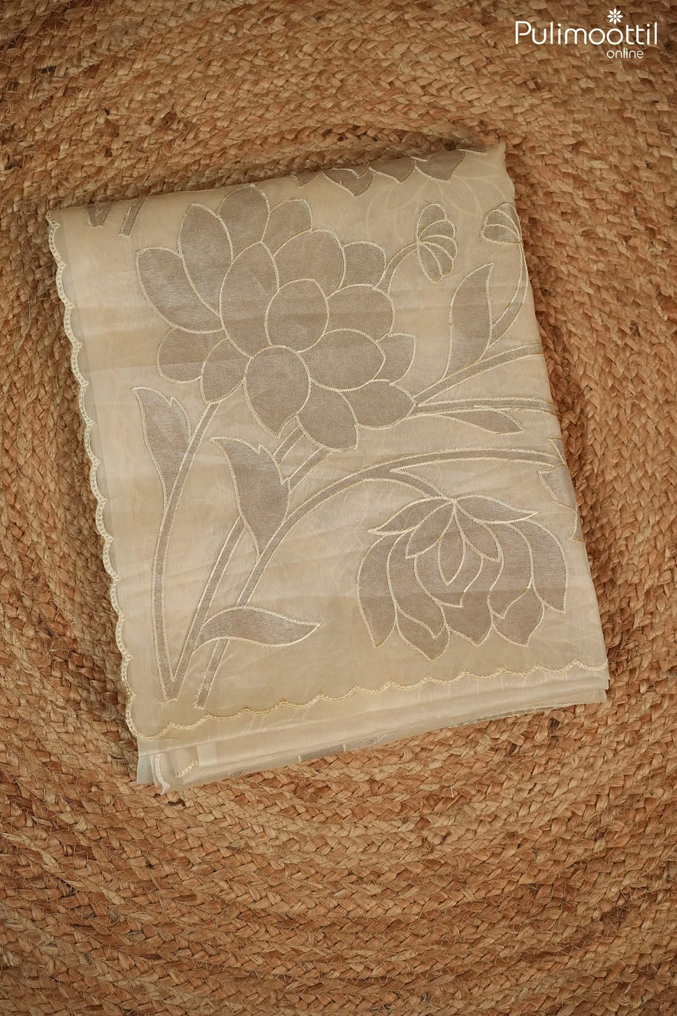 Ivory Colour Organza Fancy Saree