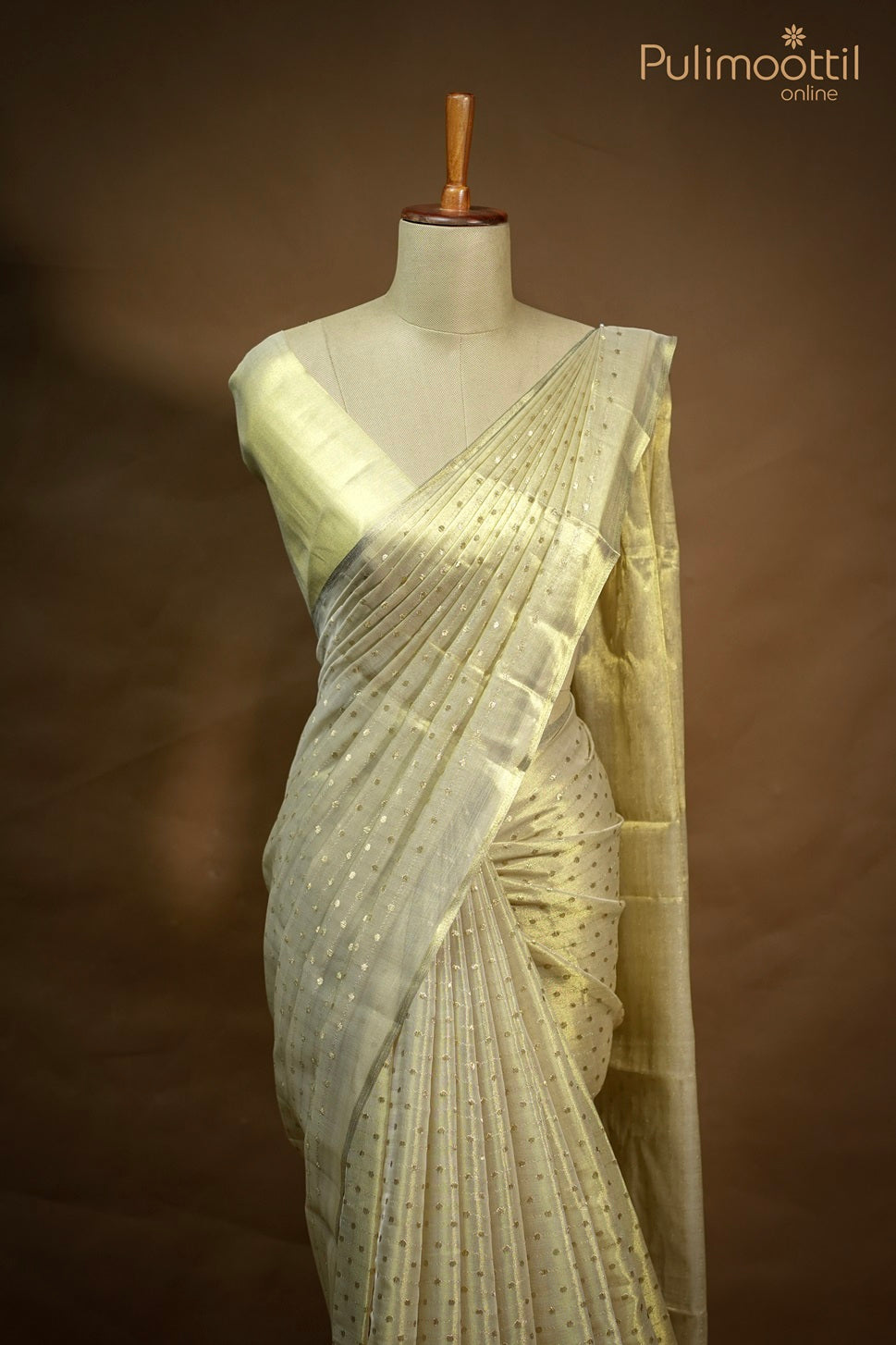 Golden Tissue Fancy Saree.