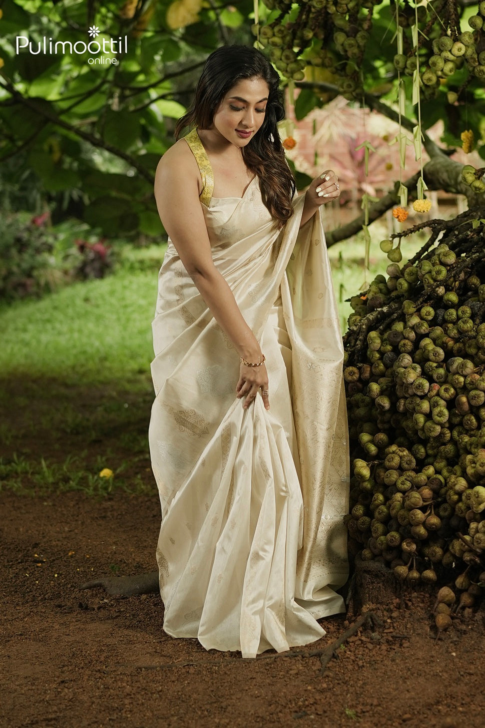Ivory Colour Oraganza Fancy Saree