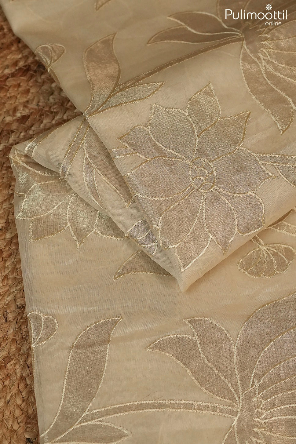 Ivory Colour Organza Fancy Saree