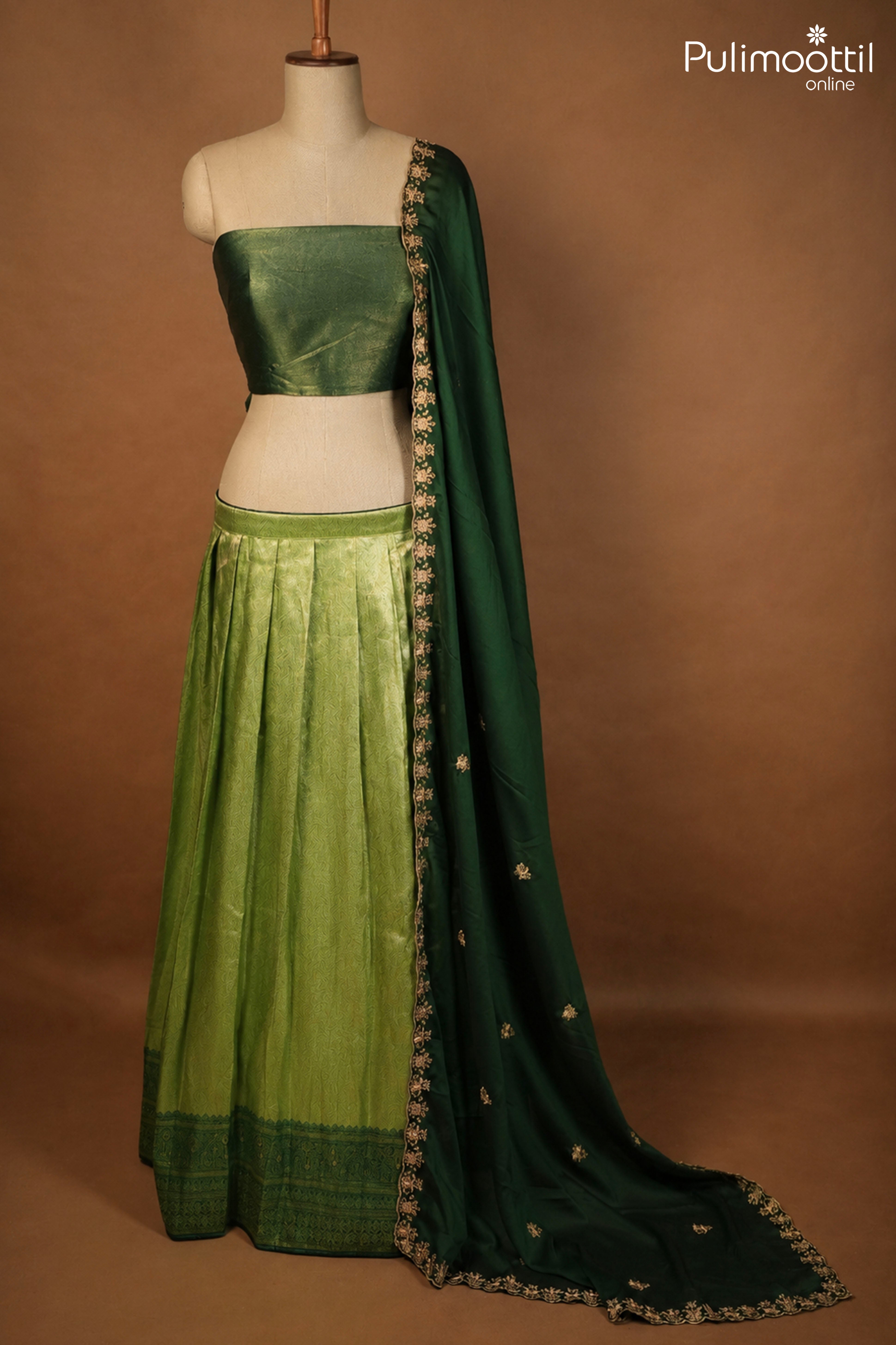 Parrot Green Color Banarasi Onam Special Dhavani Set