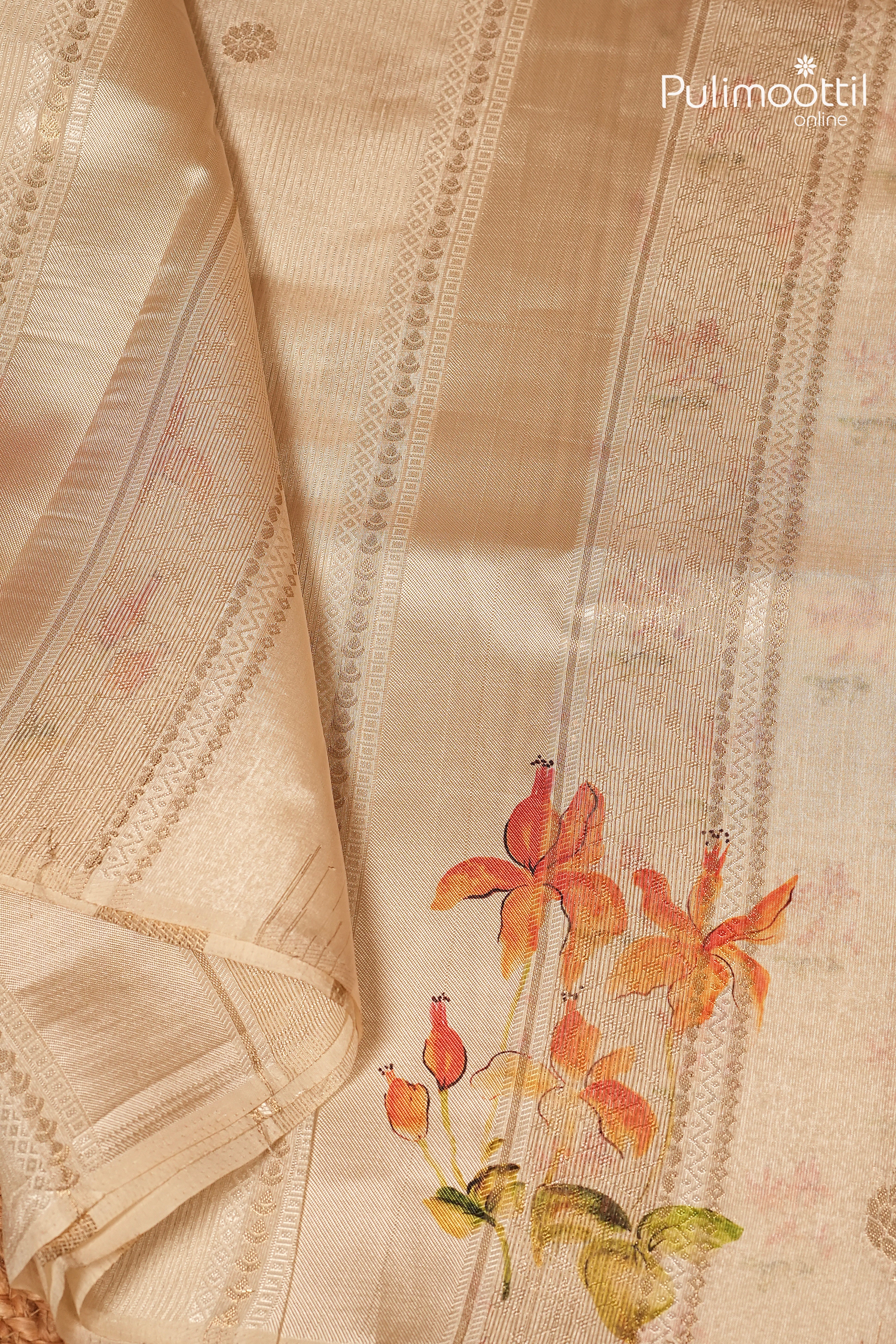 Offwhite Colour Organza Traditional Saree