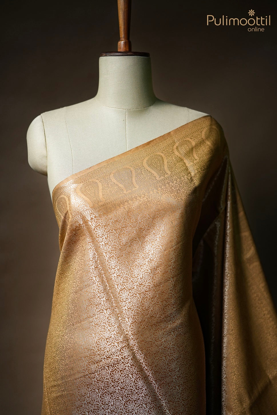 Light Golden Colour Chiniya Banarasi Saree