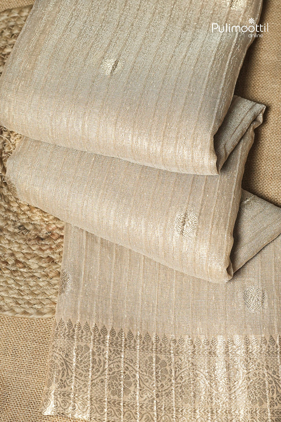Chikoo Colour Semi Tissue Saree