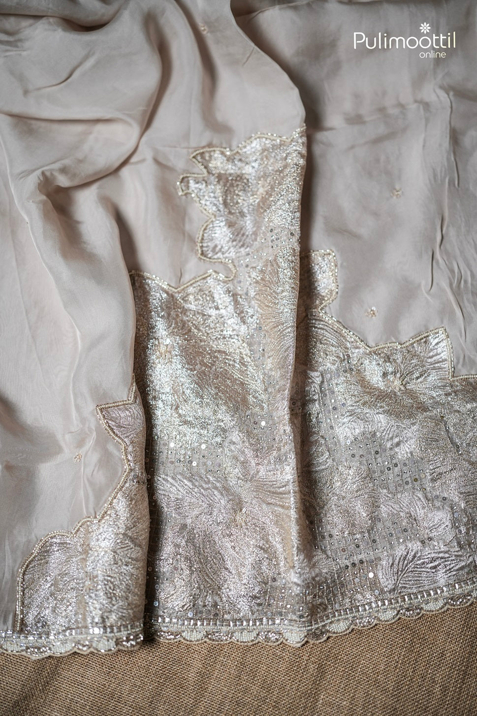 Light Chikoo Colour Organza Saree