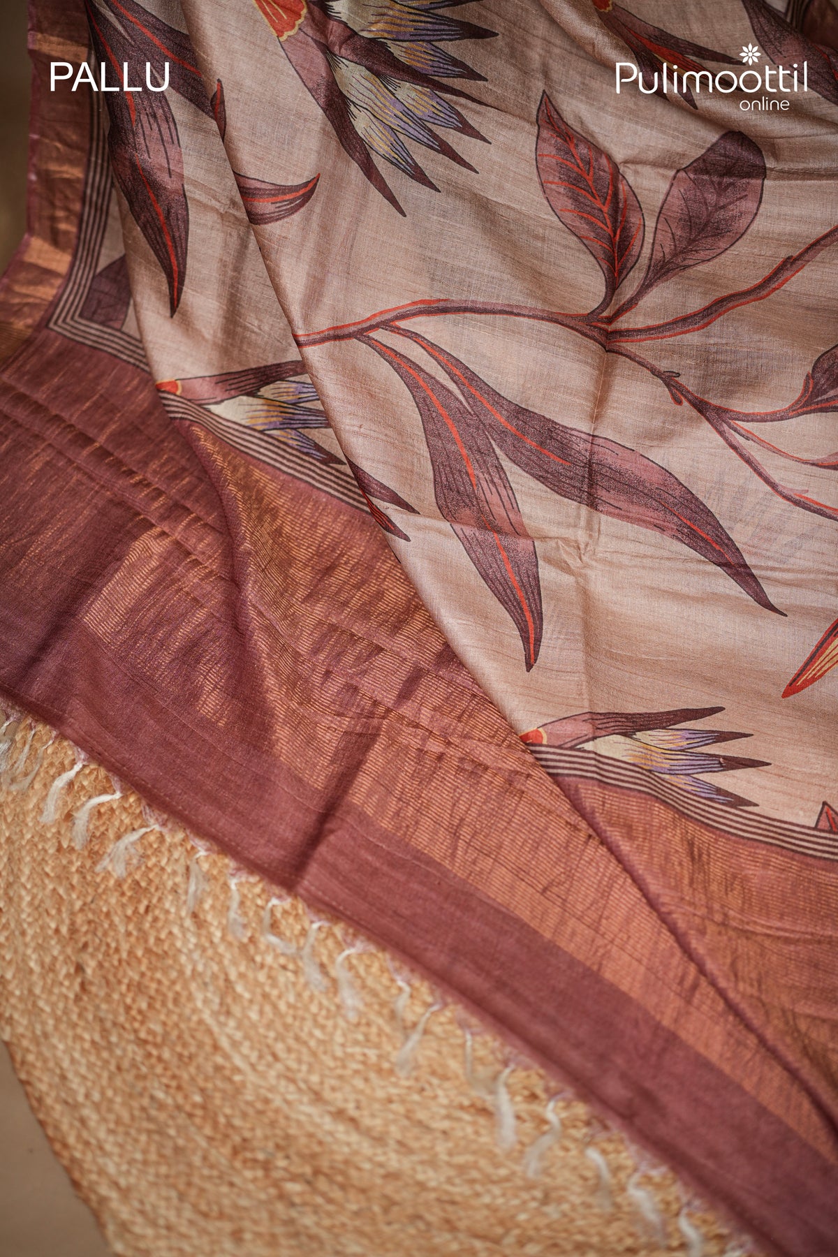 Dark Chikoo Colour Tussar And Jute Silk Saree