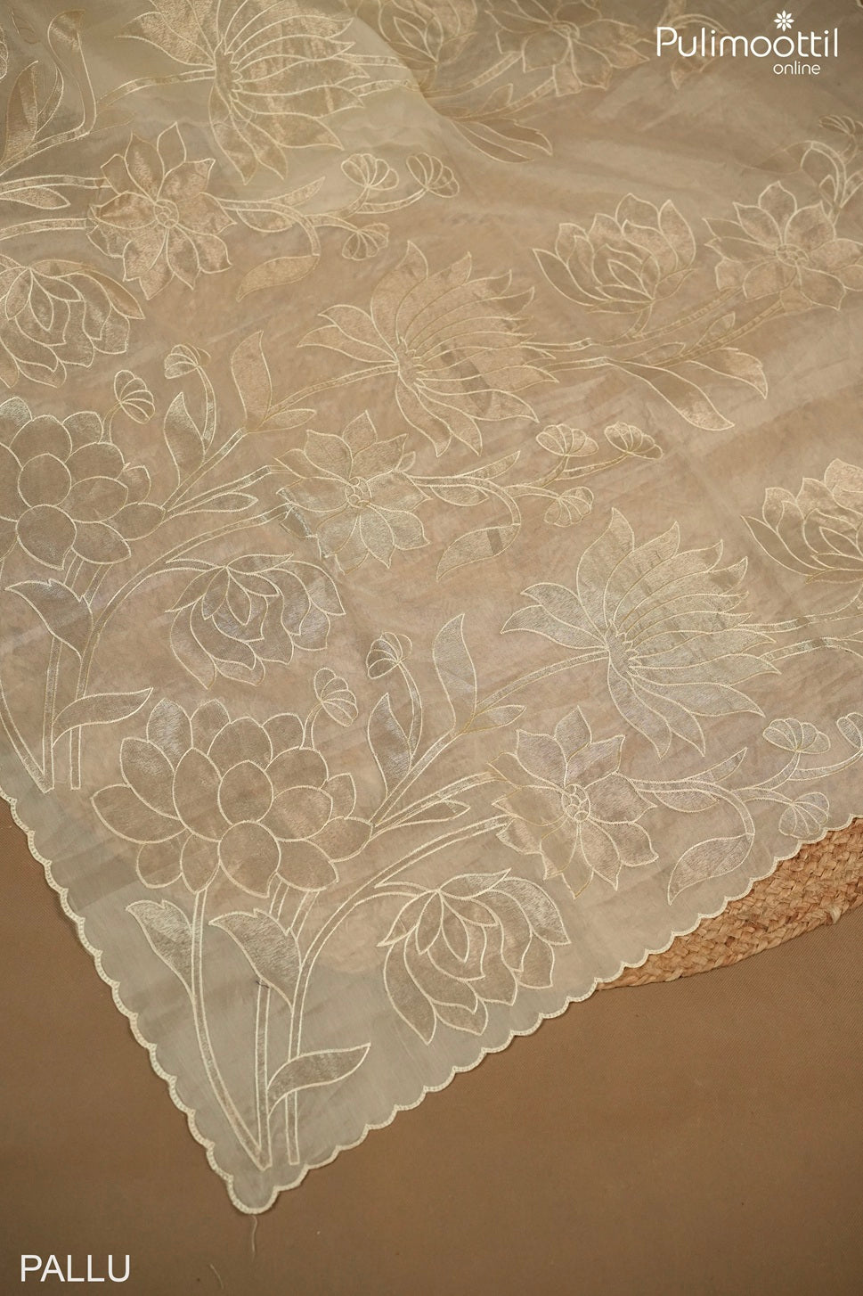 Ivory Colour Organza Fancy Saree