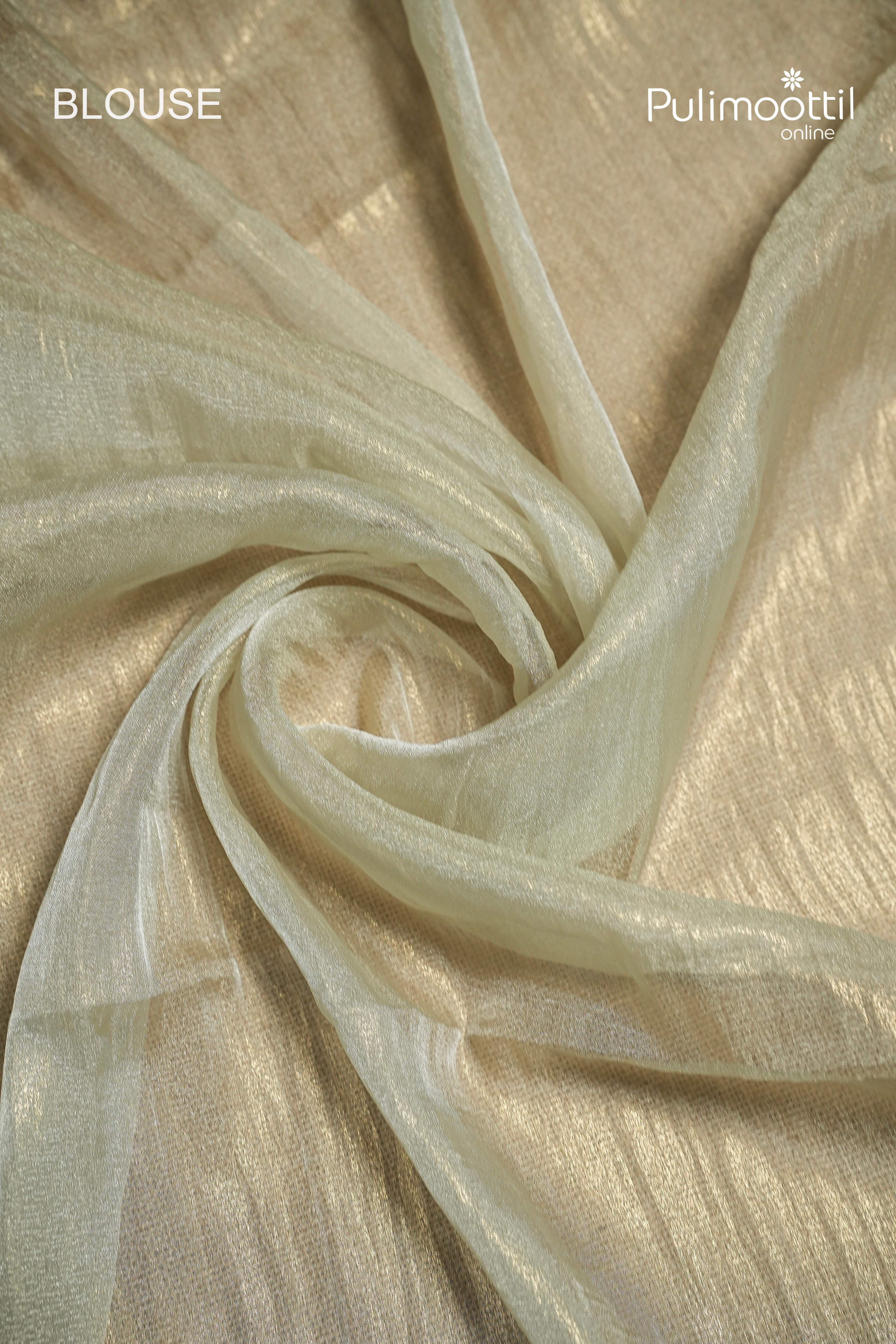 Light Pista Green Colour 3D Appliqué Work Shimmer Organza Fancy Saree