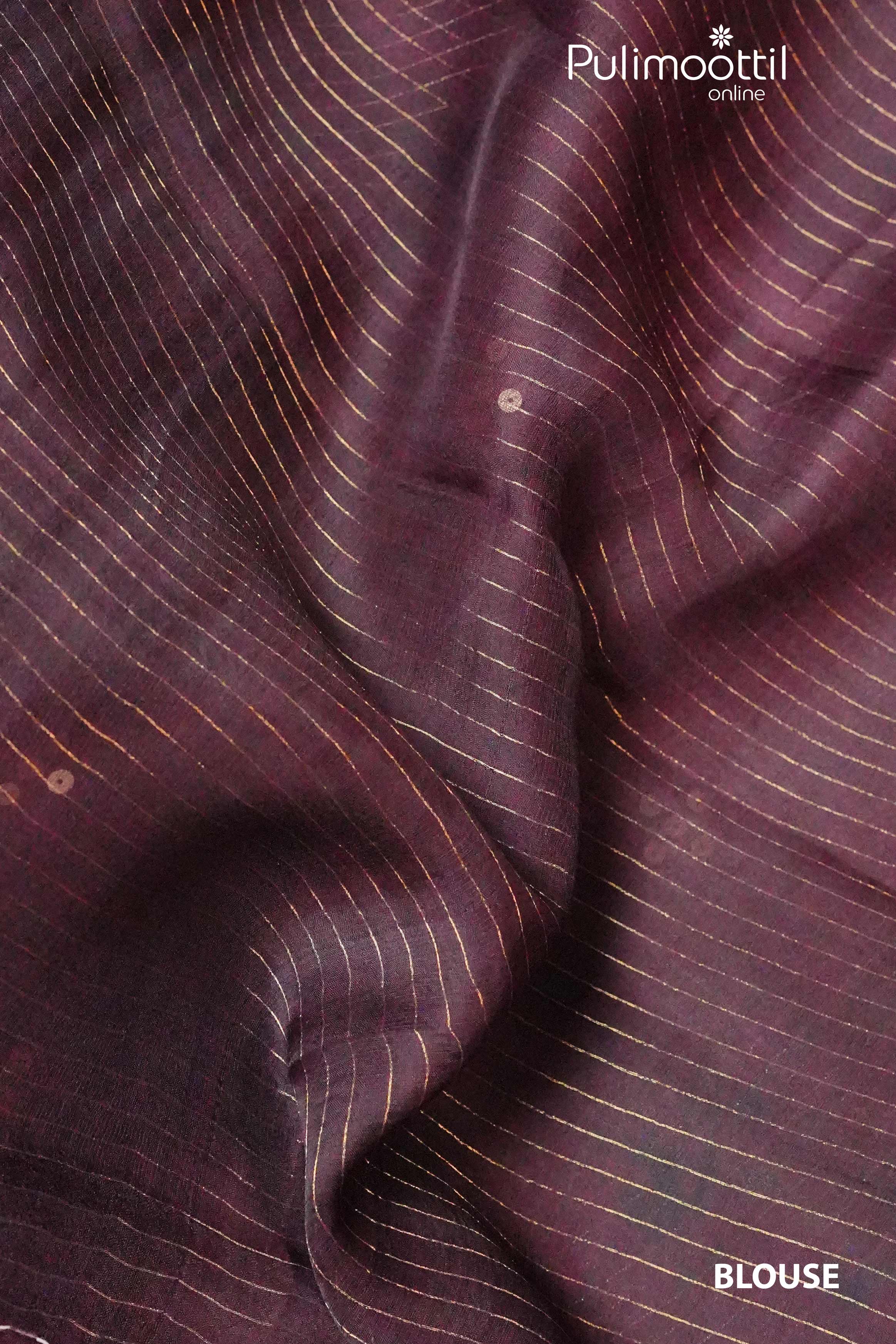 Brown Colour Tussar Silks Saree.