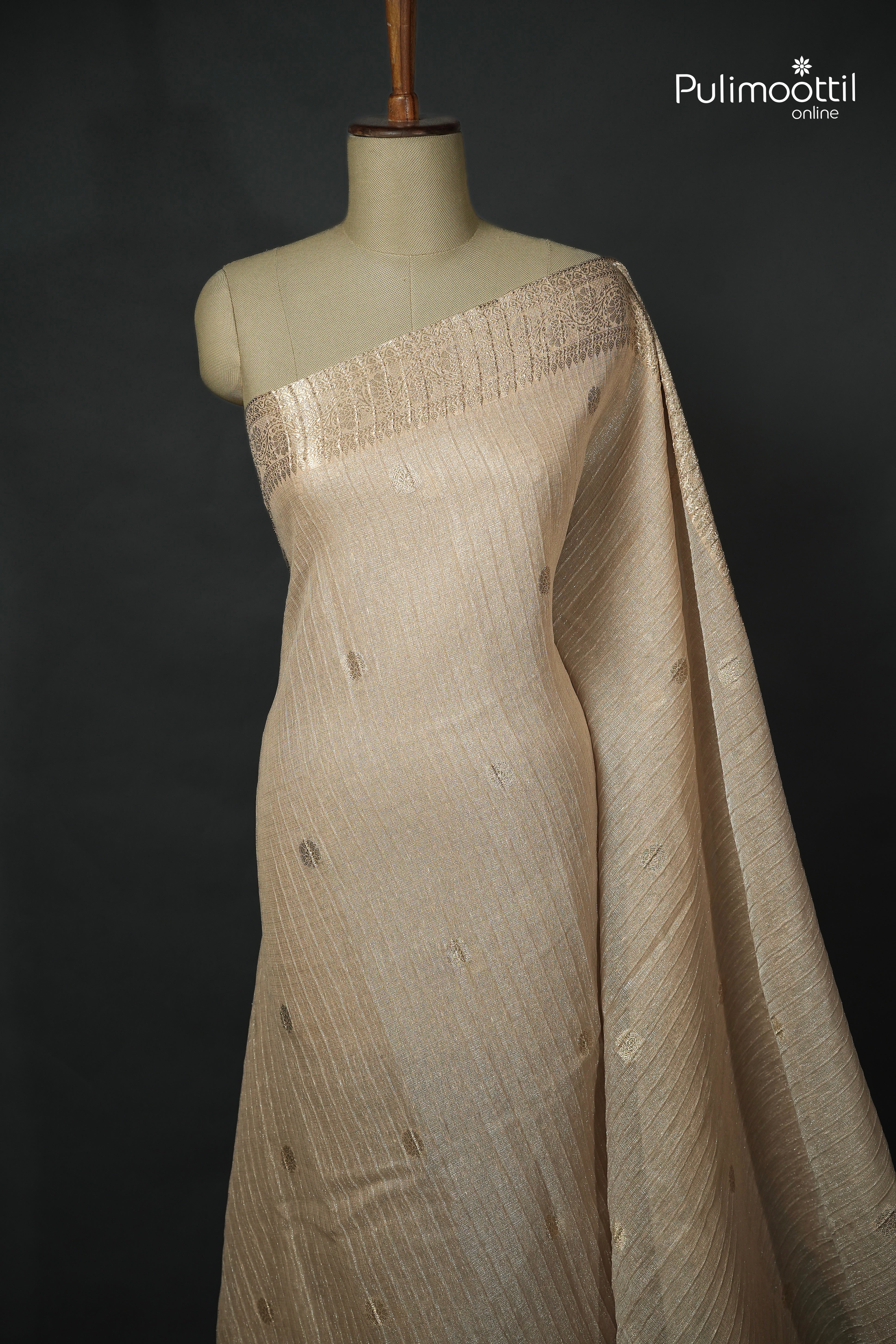 Chikoo Colour Semi Tissue Saree
