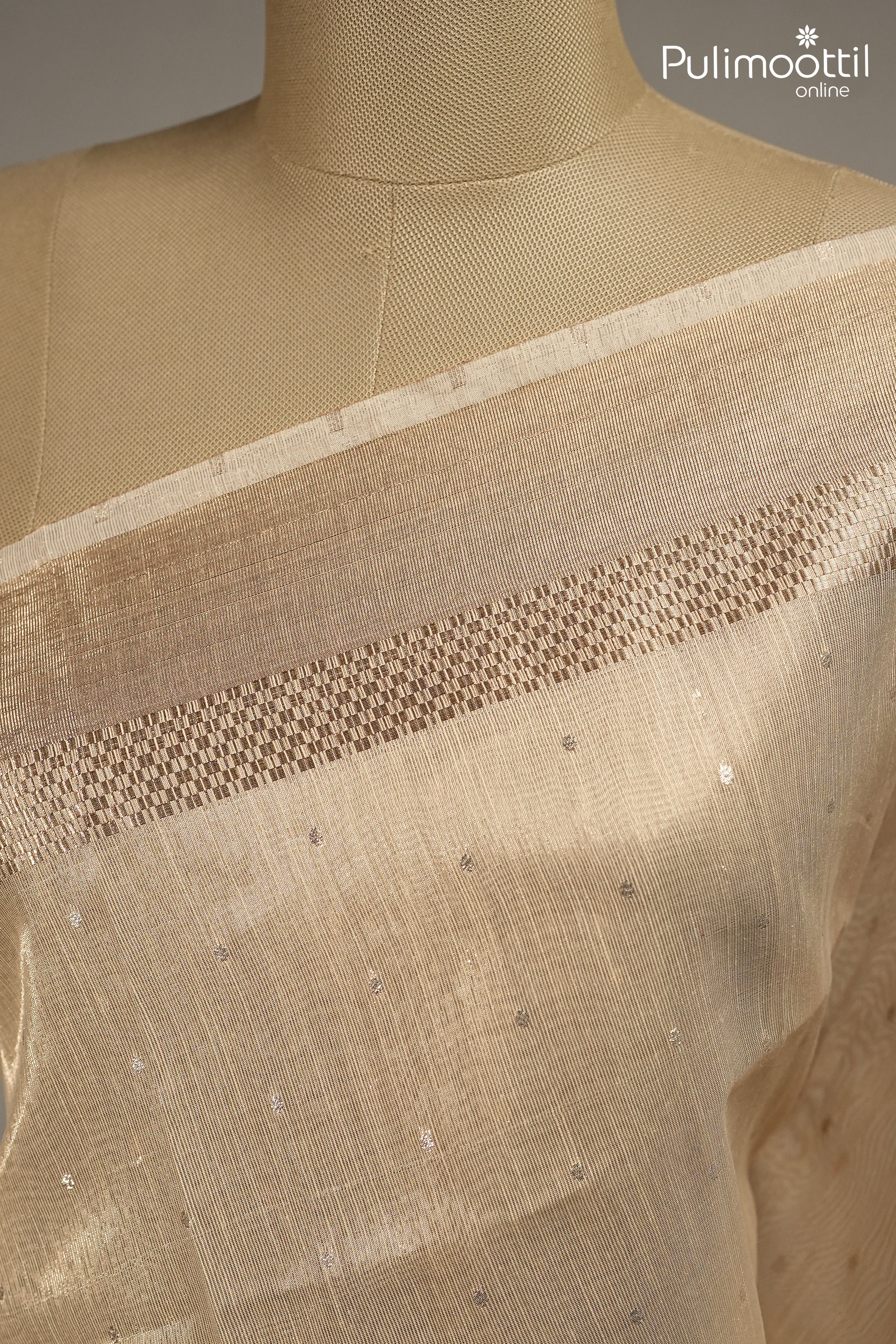 Golden Tissue Organza Traditional Saree