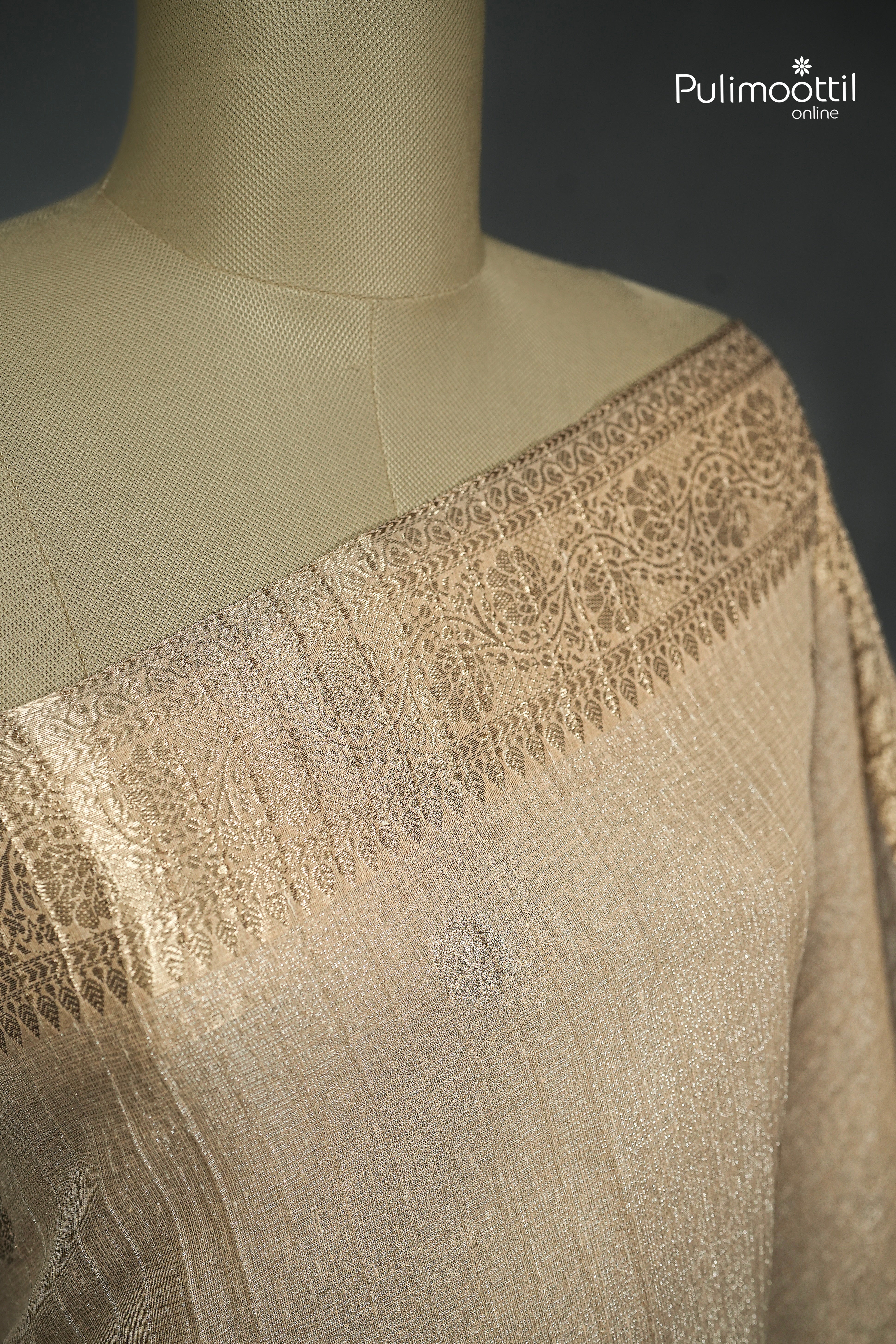 Chikoo Colour Semi Tissue Saree