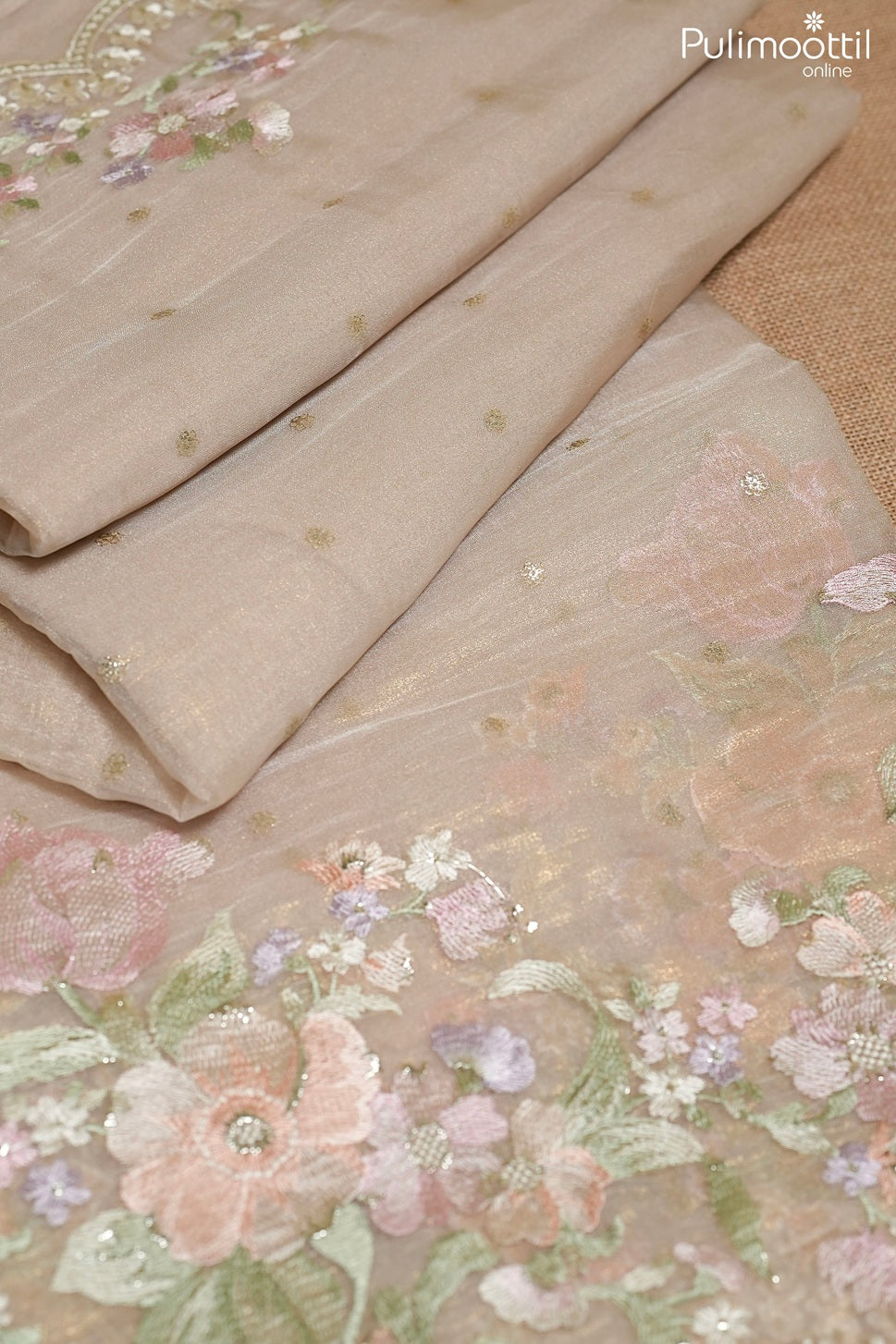Light chikoo color golden tissue organza fancy saree