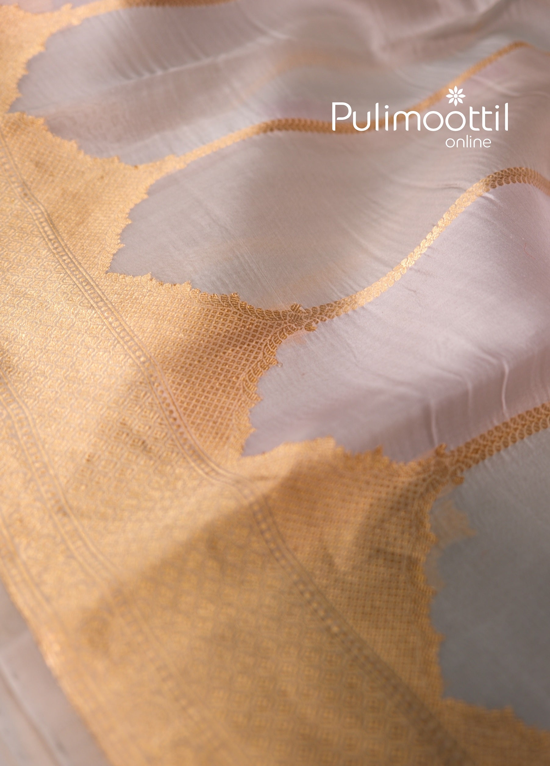 Detailed view of ash wedding saree border with intricate gold zari—perfect for bridal styling.