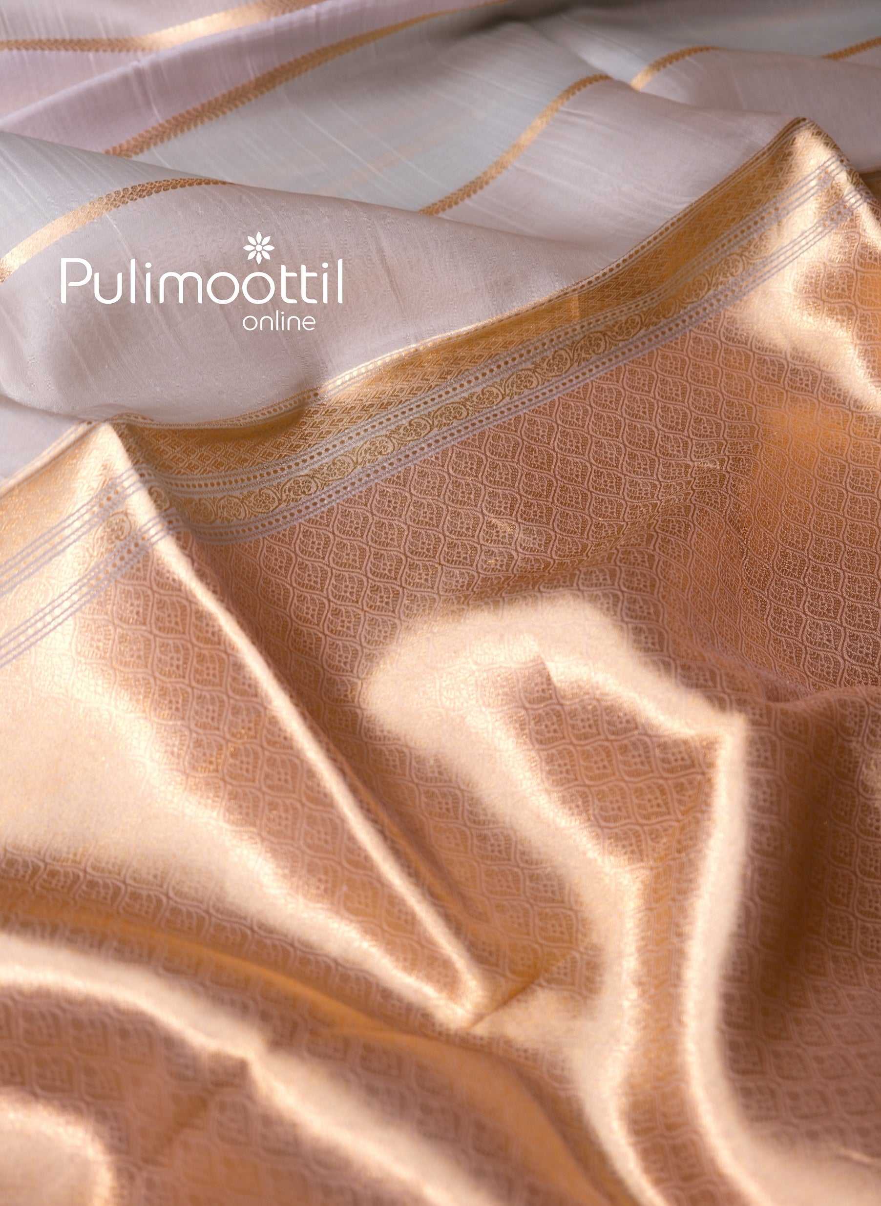Elegant pallu of ash color organza saree with bridal golden zari work, suitable for weddings and receptions.