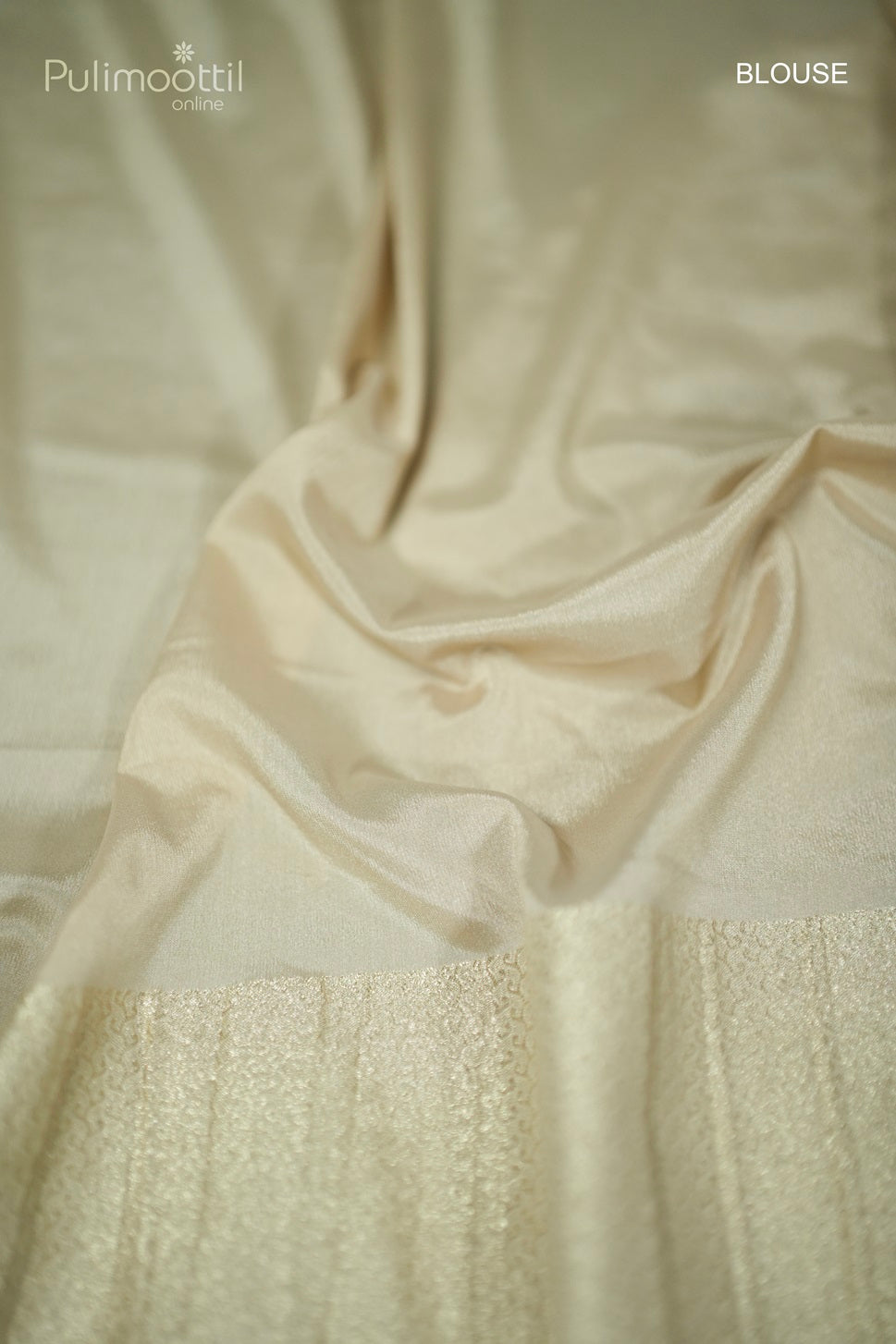 Pastel Chikoo Colour Georgette Banarasi Saree