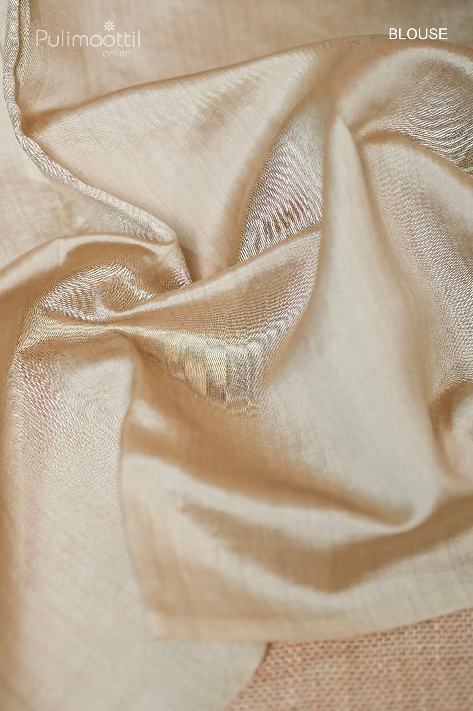 Chickoo Colour Pure Organza Saree