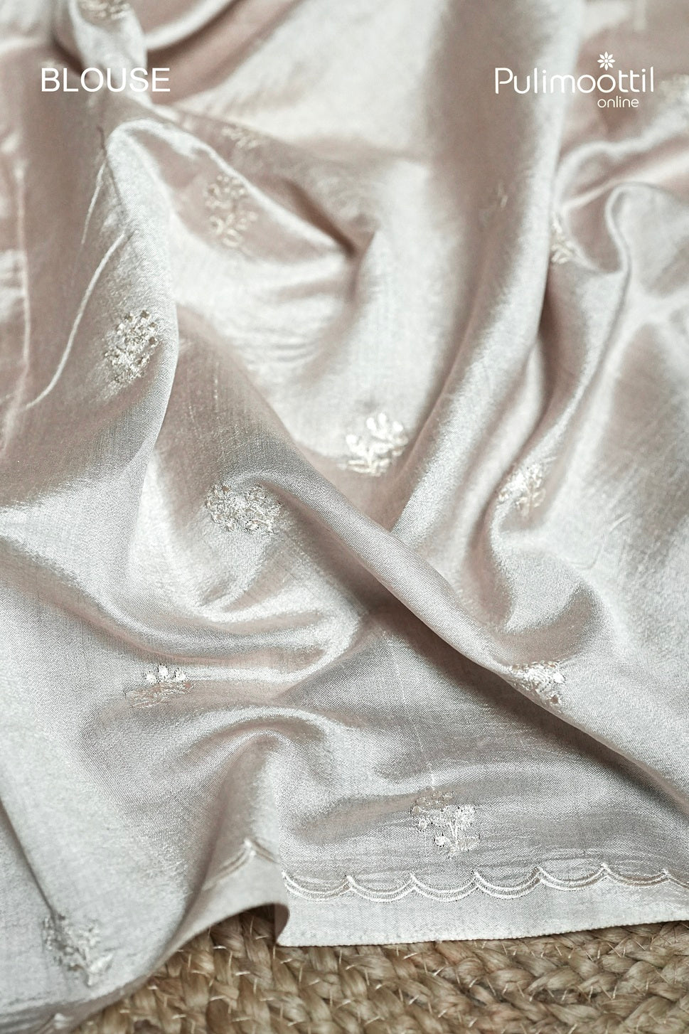 Light Chikoo Colour Rose Gold Tissue Appliqué Work Organza Saree