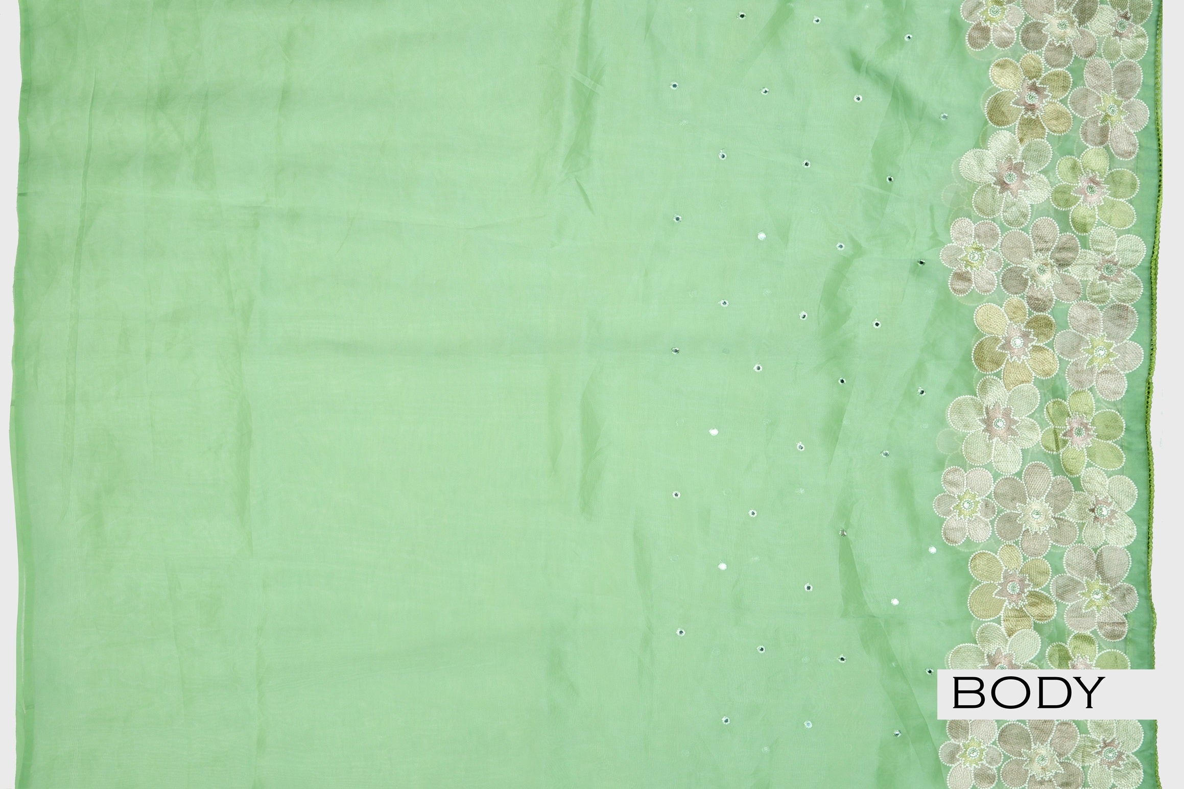 Pastel green color soft Organza saree.
