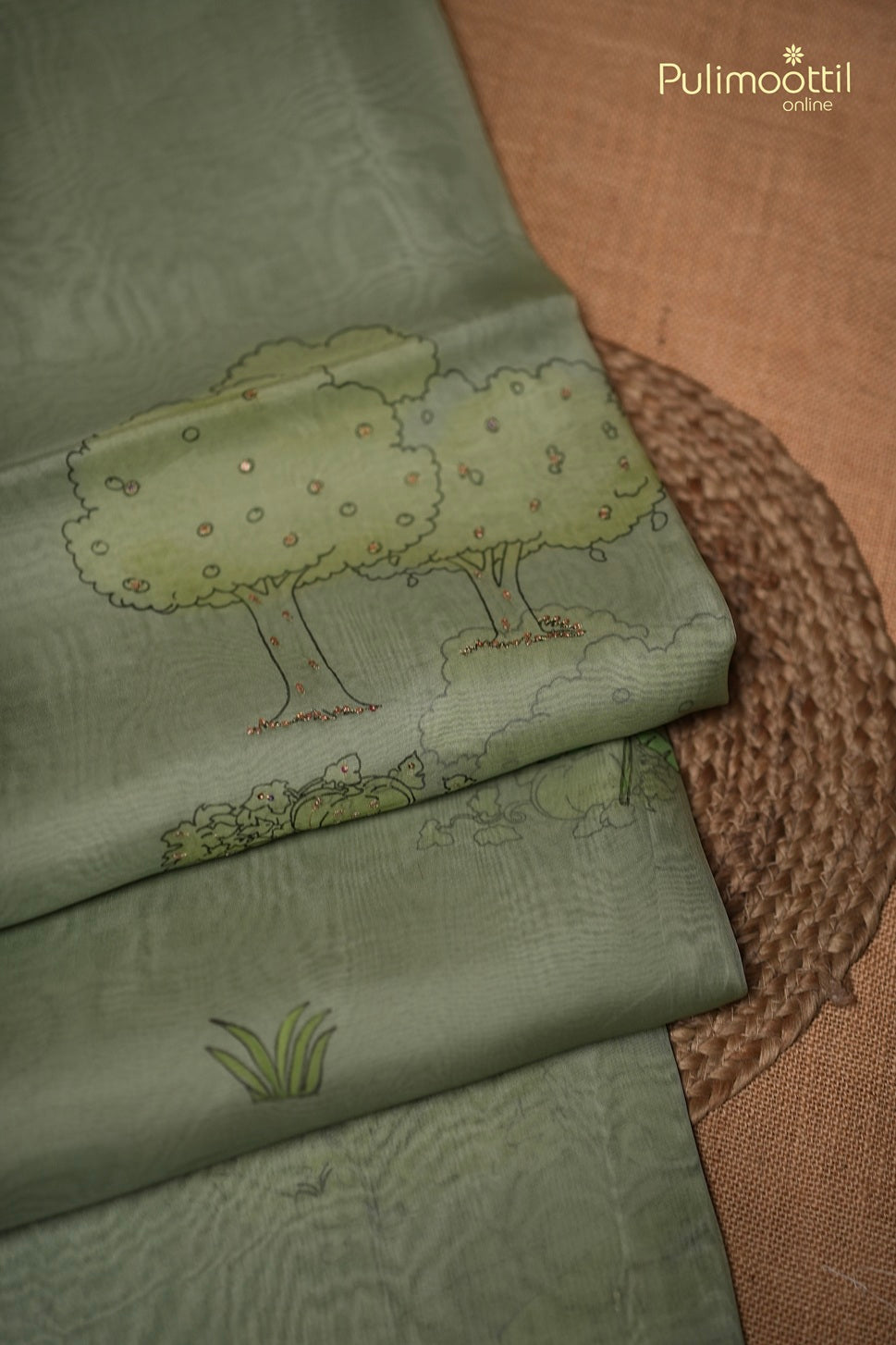 Mint Green Colour Organza Fancy Saree