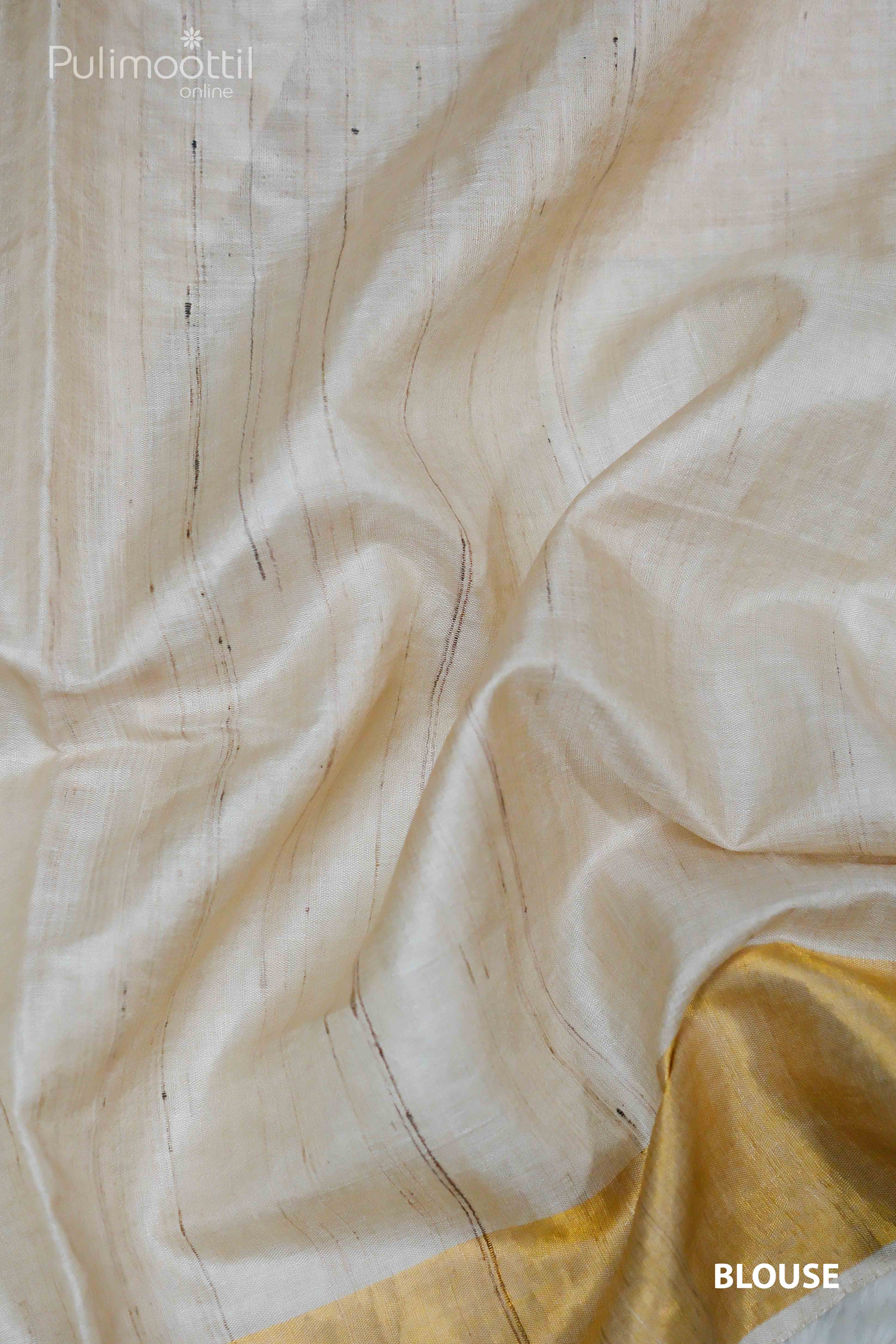 Close-up of beige pure tussar silk fabric with subtle striped pattern, featuring a golden tissue border at the bottom.