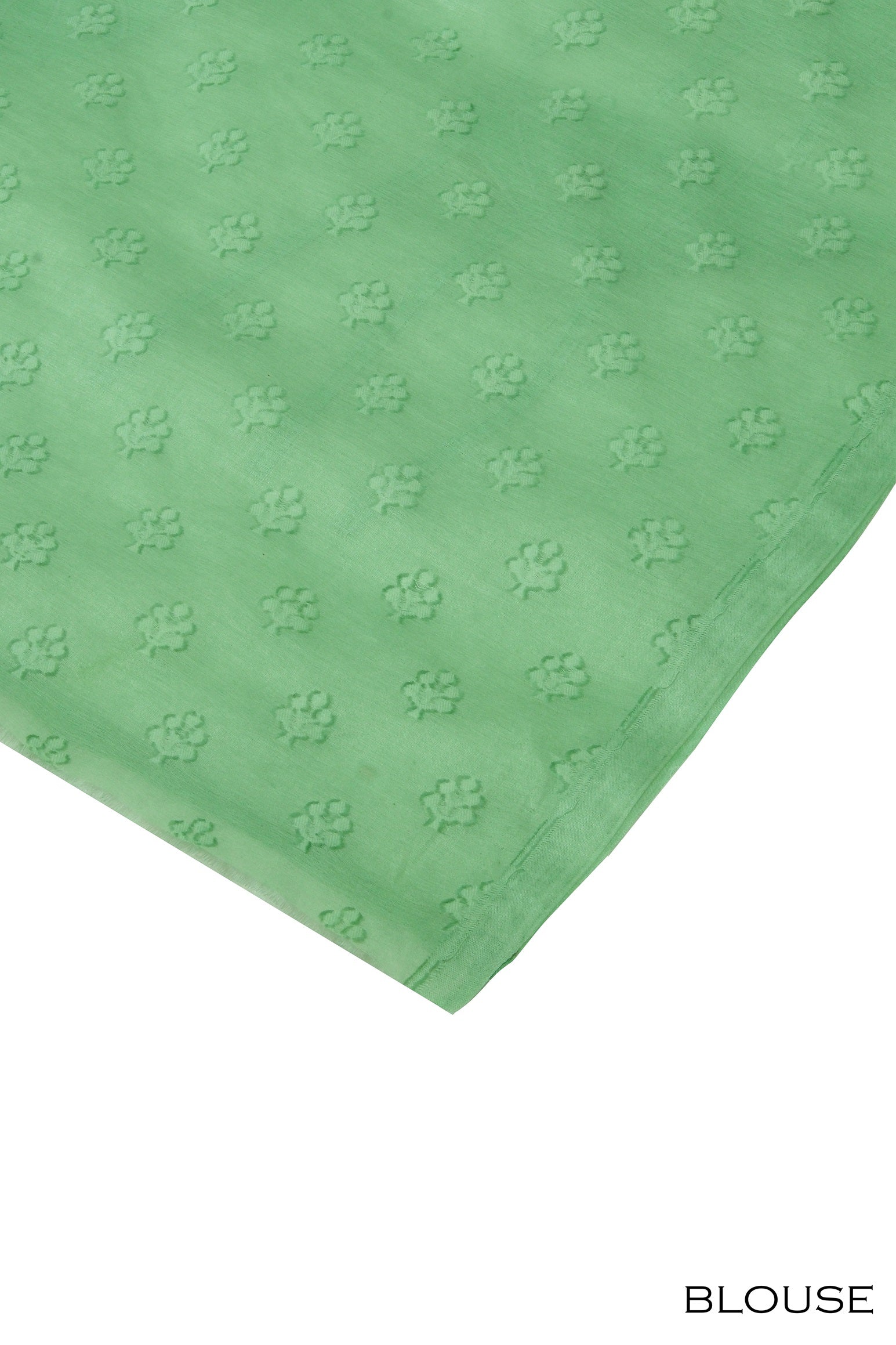 Pastel green color organza saree.