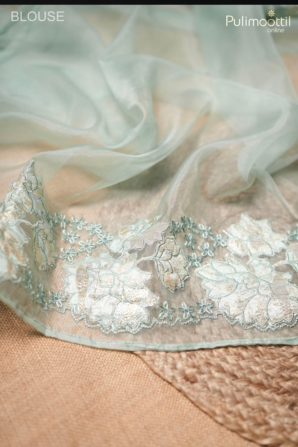 Pastel mint green color organza fancy saree