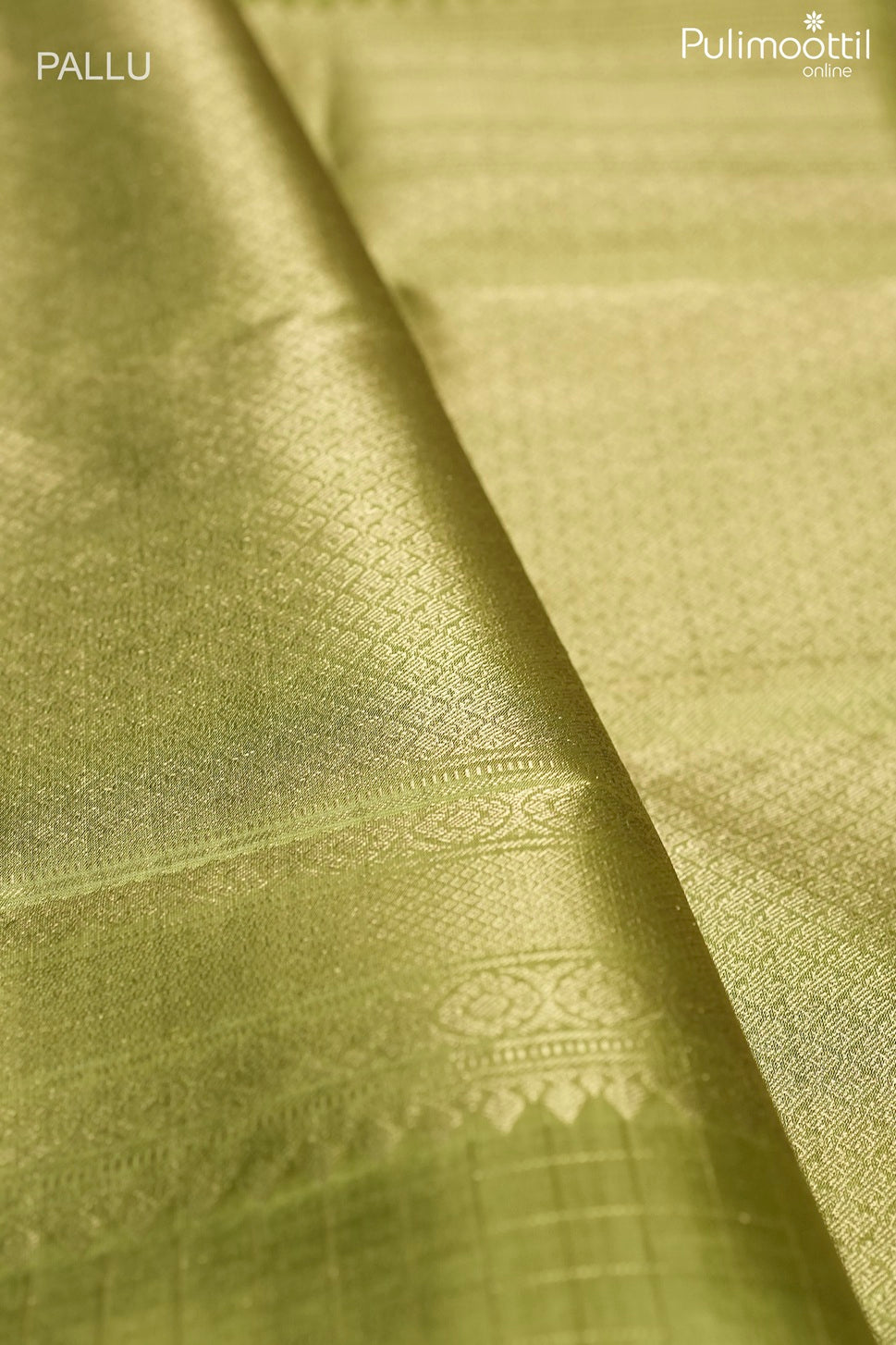Light olive color Kanchipuram designer saree