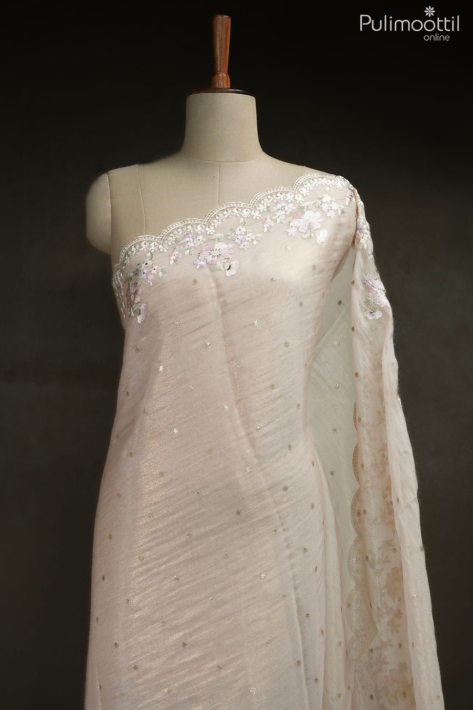 Light chikoo color golden tissue organza fancy saree