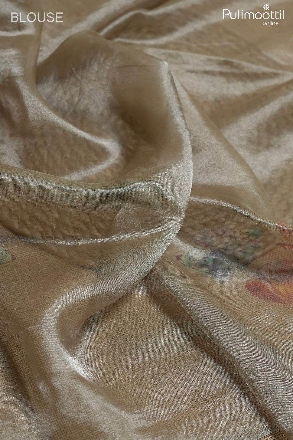 Chikoo color tissue organza fancy saree