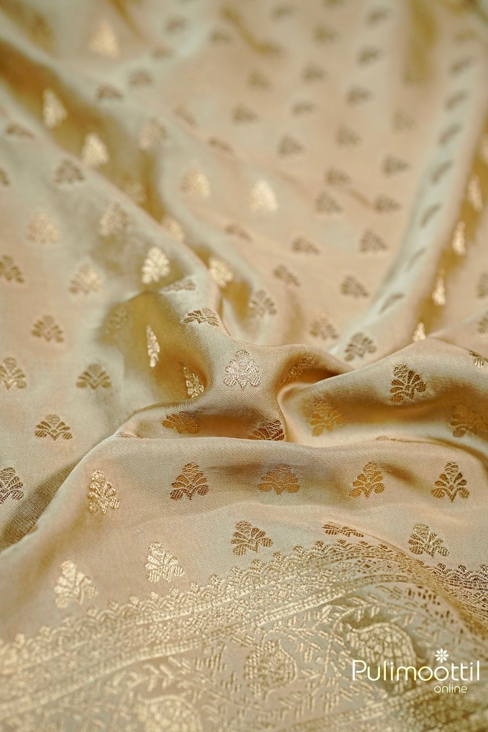 Close-up of Chikku Colour Uppada Banarasi saree featuring intricate golden zari buttas and a decorative Banarasi border.