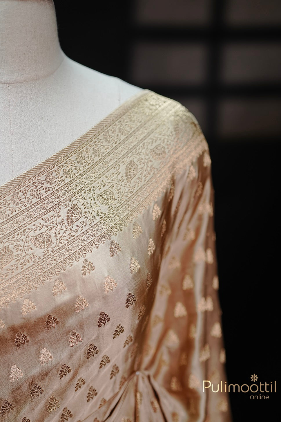 Close-up of Chikku Colour Uppada Banarasi saree showcasing intricate golden zari buttas and detailed Banarasi border.
