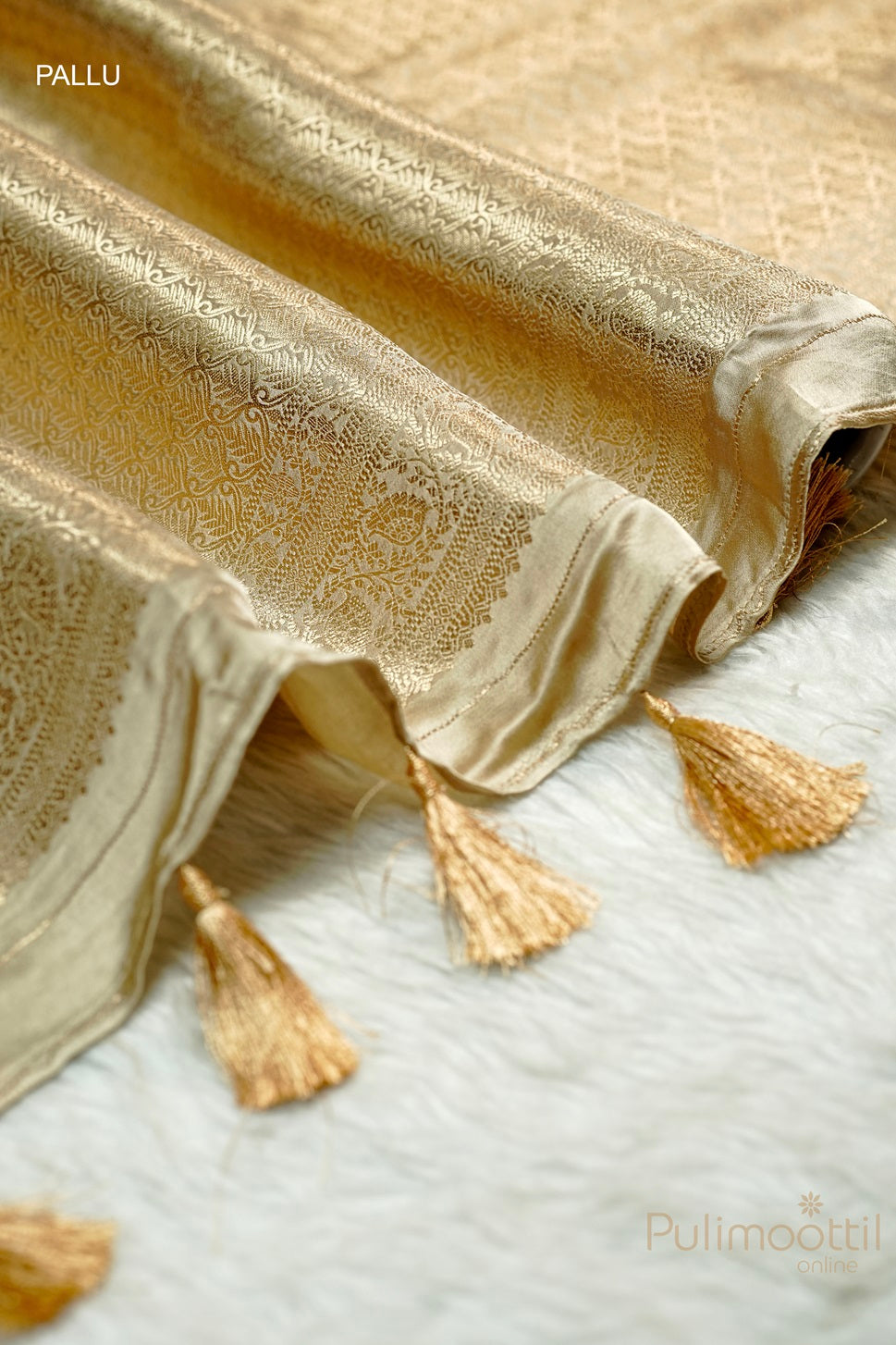 Chikku Colour Uppada Banarasi saree pallu with intricate golden zari design and elegant tassels at the edge.