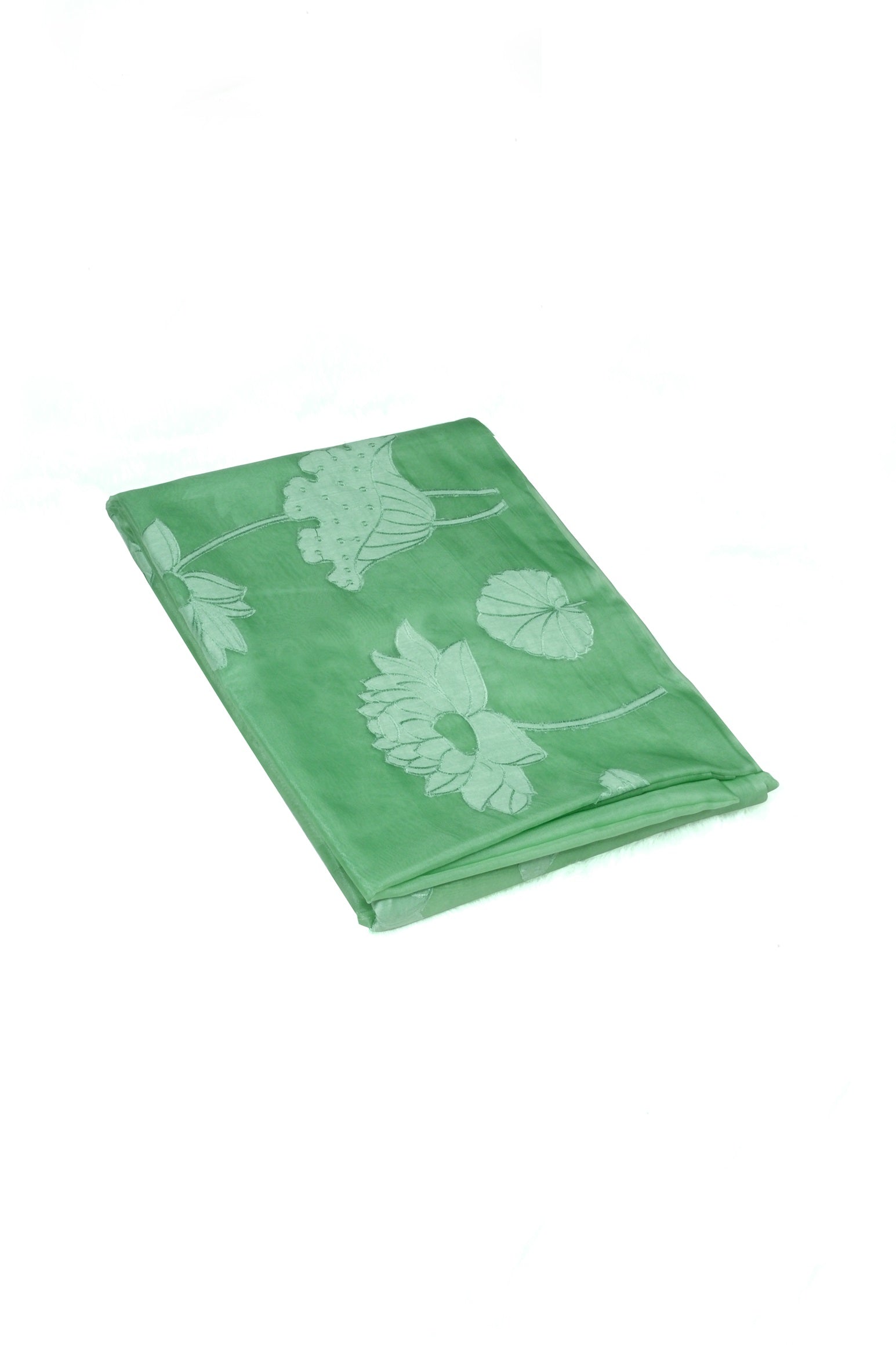 Pastel green color organza saree.