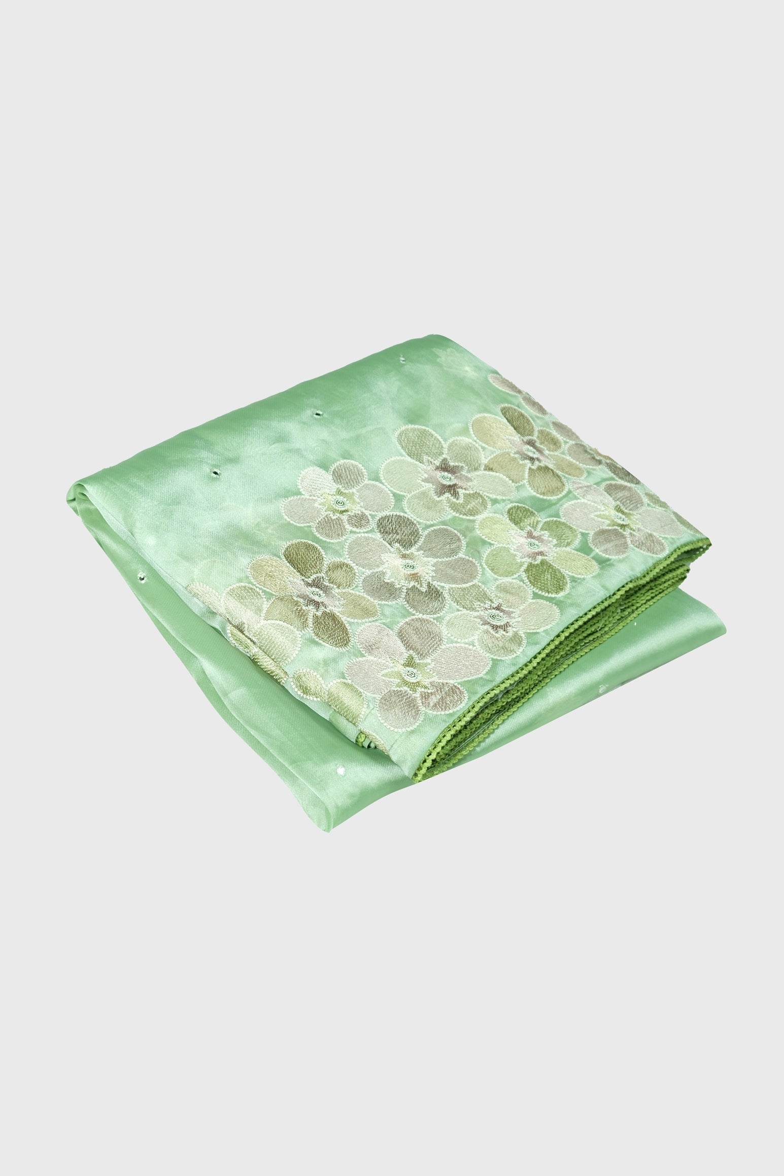 Pastel green color soft Organza saree.