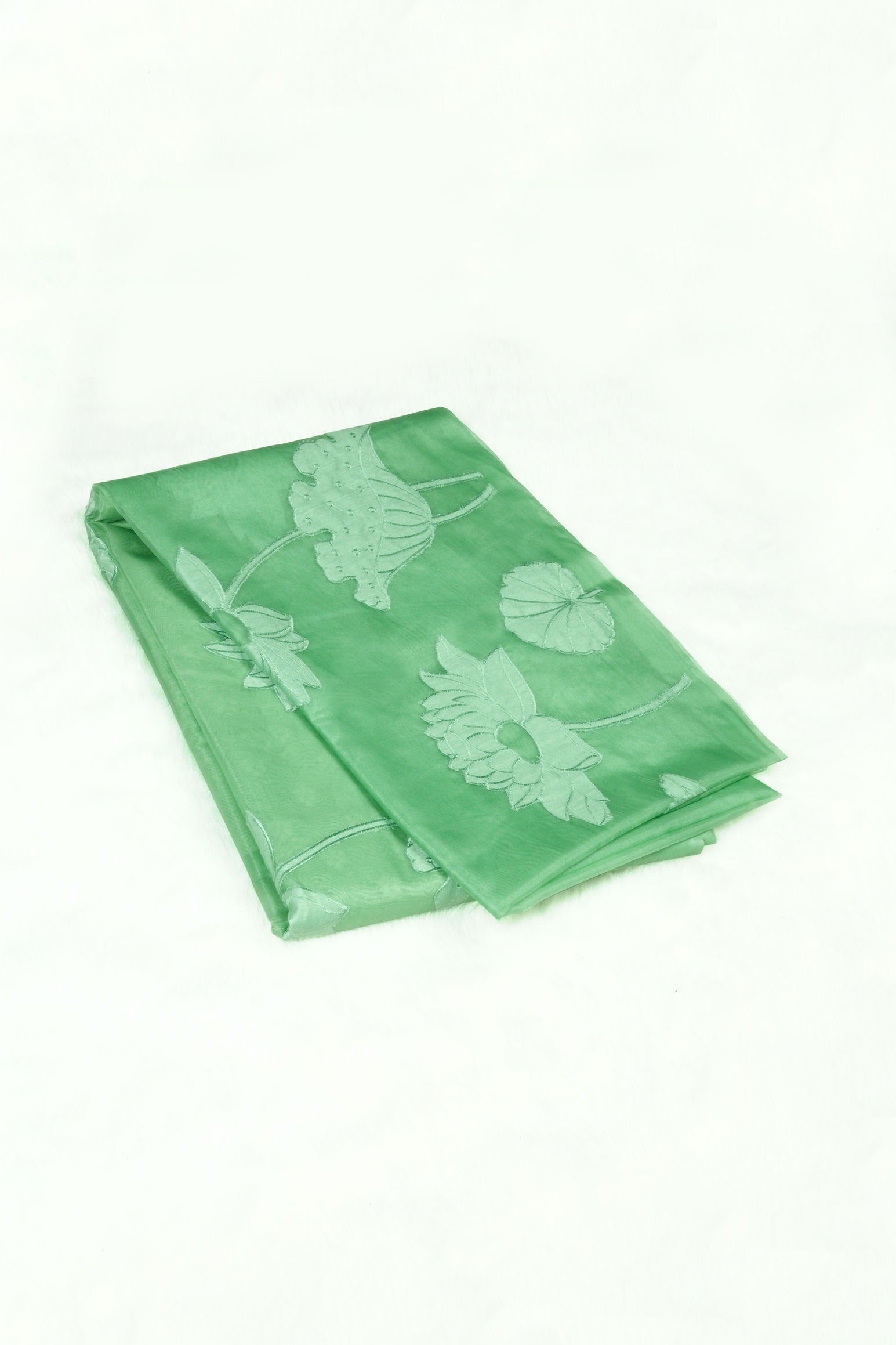 Pastel green color organza saree.