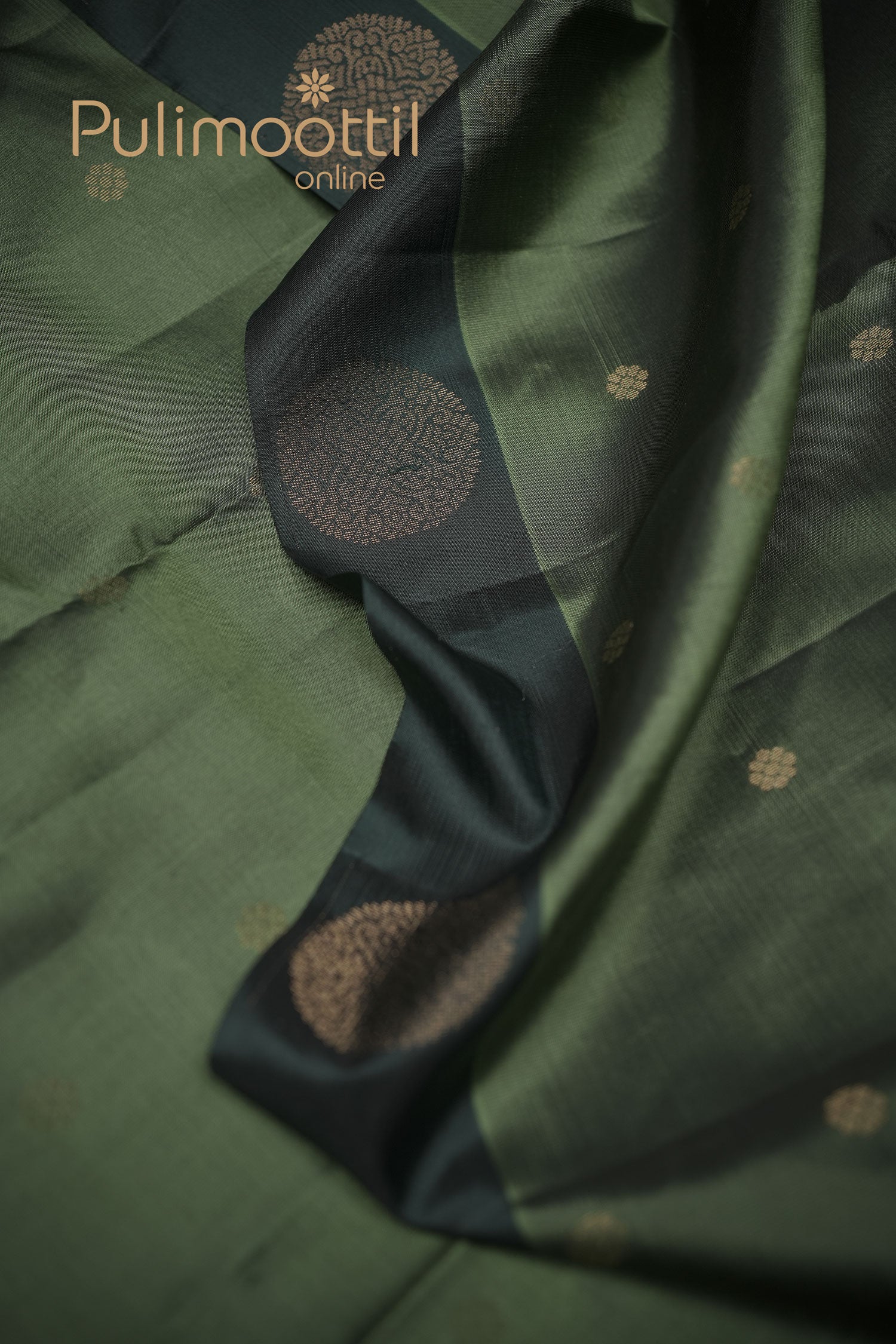 Crocodile green Kanchipuram silk saree with all-over small gold zari buttas and a contrasting dark border featuring circular golden motifs, gently folded to highlight its rich sheen and traditional craftsmanship.