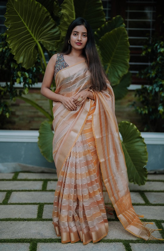 Double Shaded Semi Organza Saree