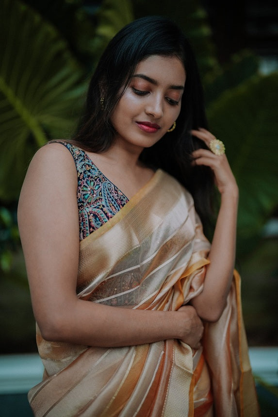 Double Shaded Semi Organza Saree