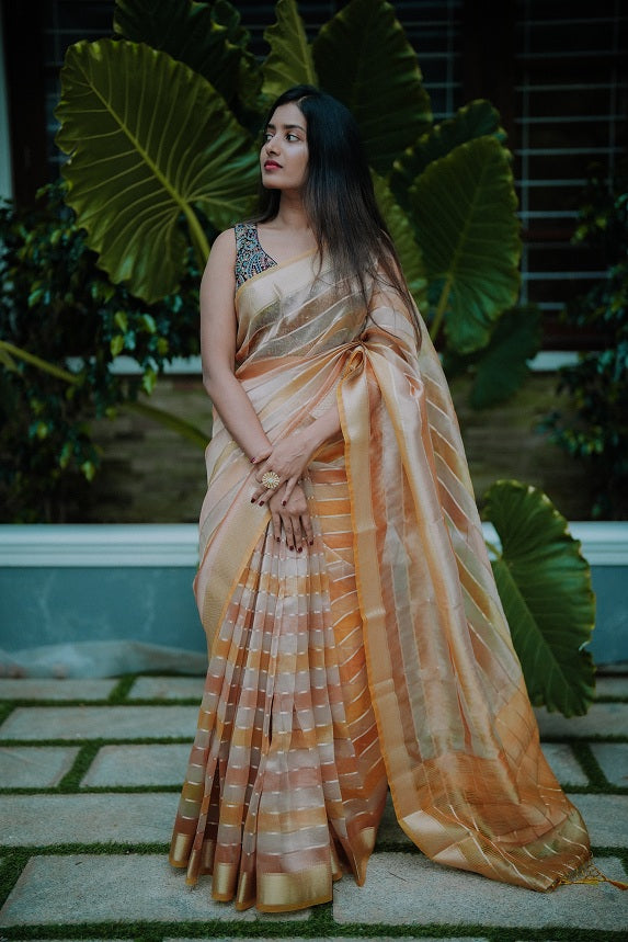 Double Shaded Semi Organza Saree