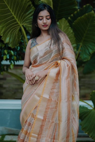 Double Shaded Semi Organza Saree