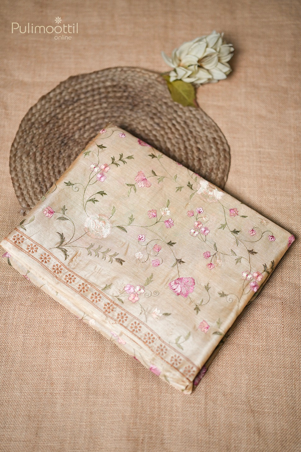 Light Chickoo Colour Tussar Silk Saree