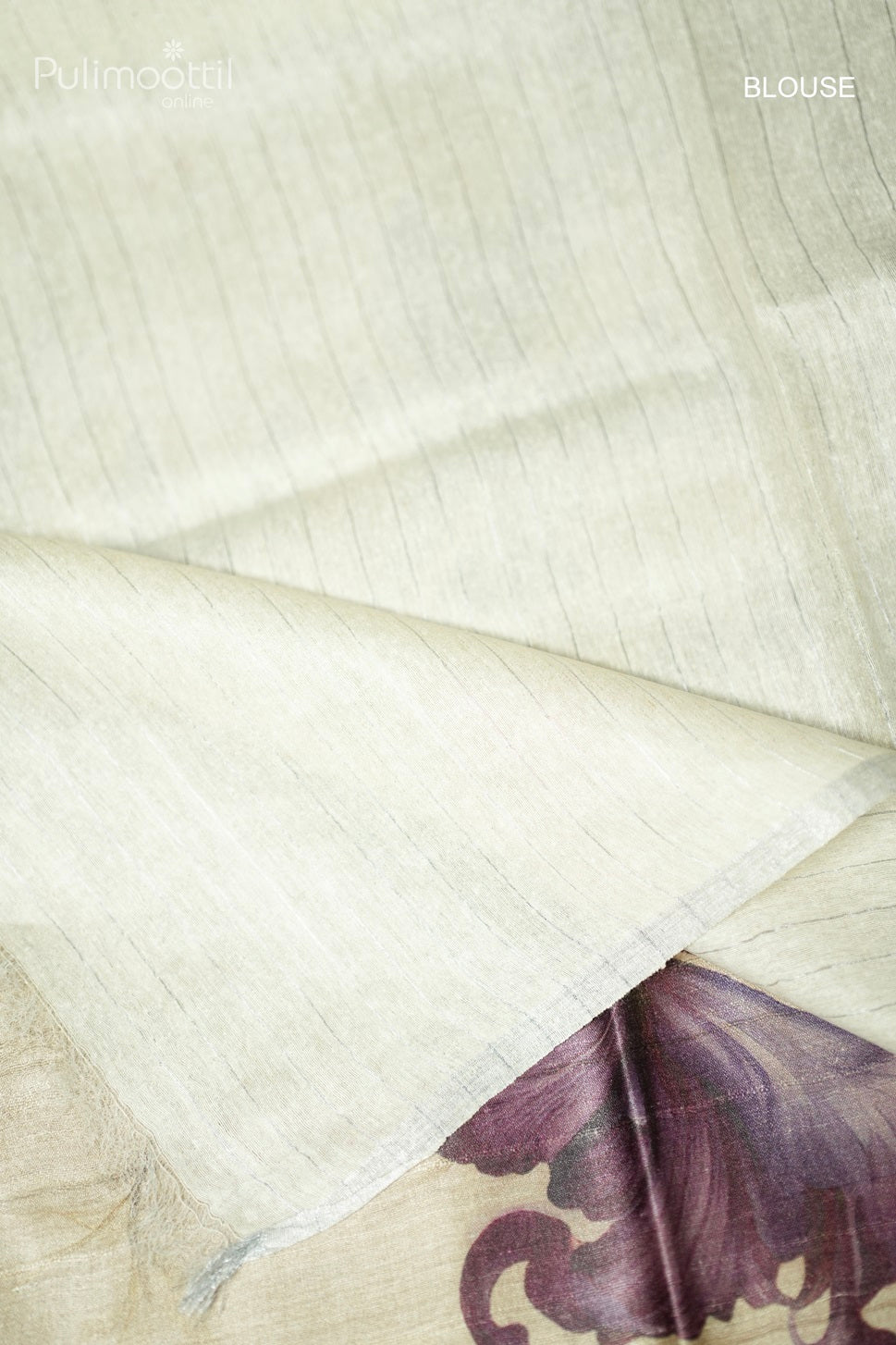 Pastel Chikoo Shade Tussar Silk Saree