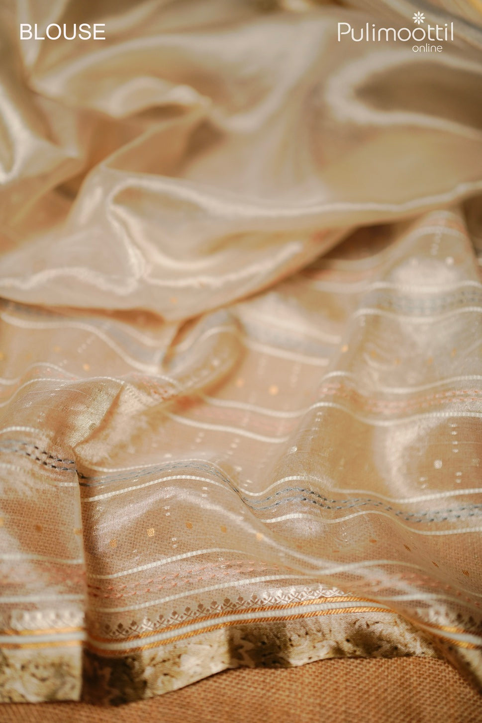 Butter pink color organza tissue fancy saree
