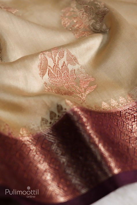 Ecru-beige Chiniya Banarasi silk saree drape showcasing copper-toned floral thread motifs and a contrasting geometric brocade border