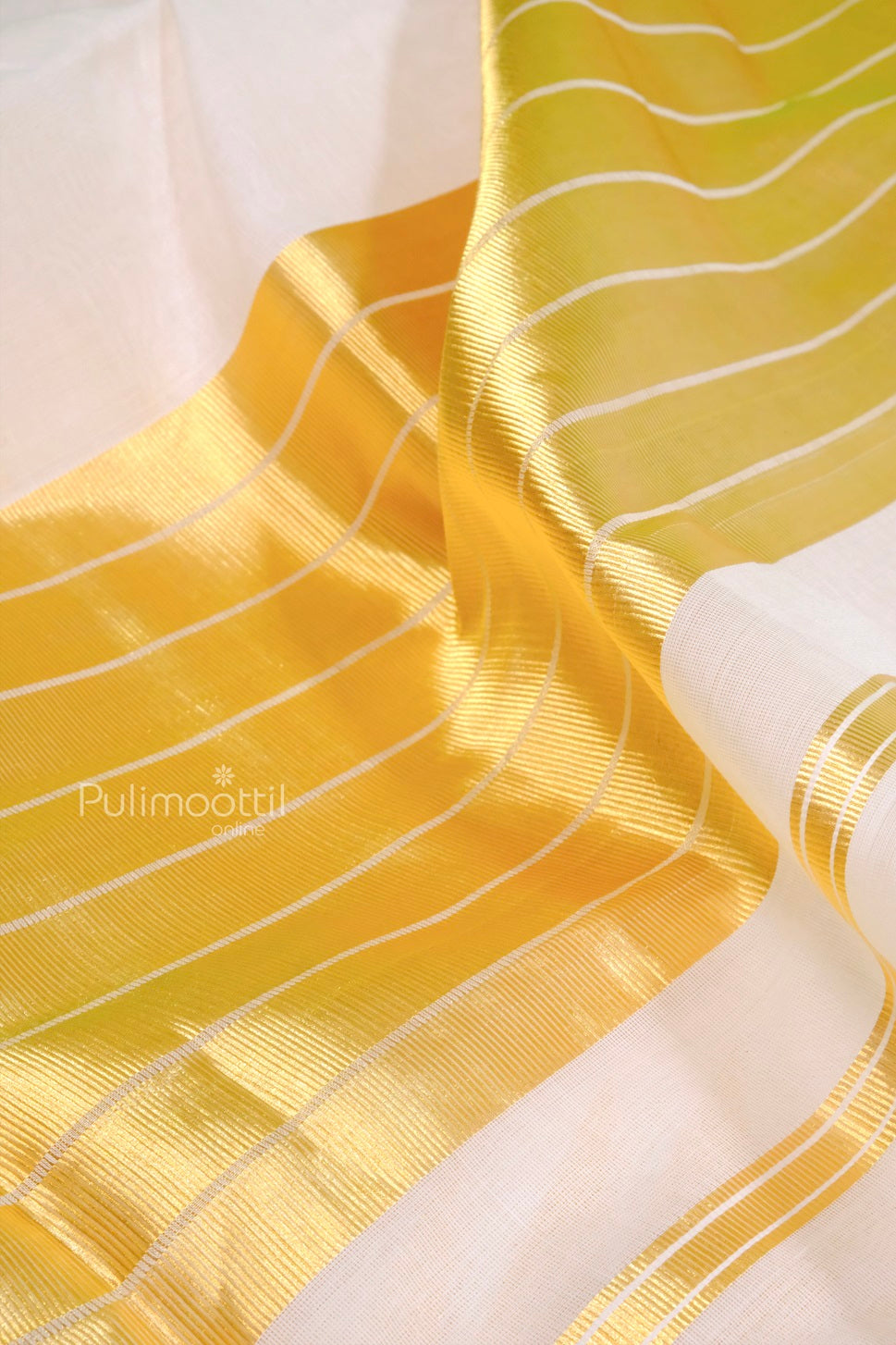 Traditional Kerala saree draped outdoors to highlight golden temple border and classic off-white cotton body