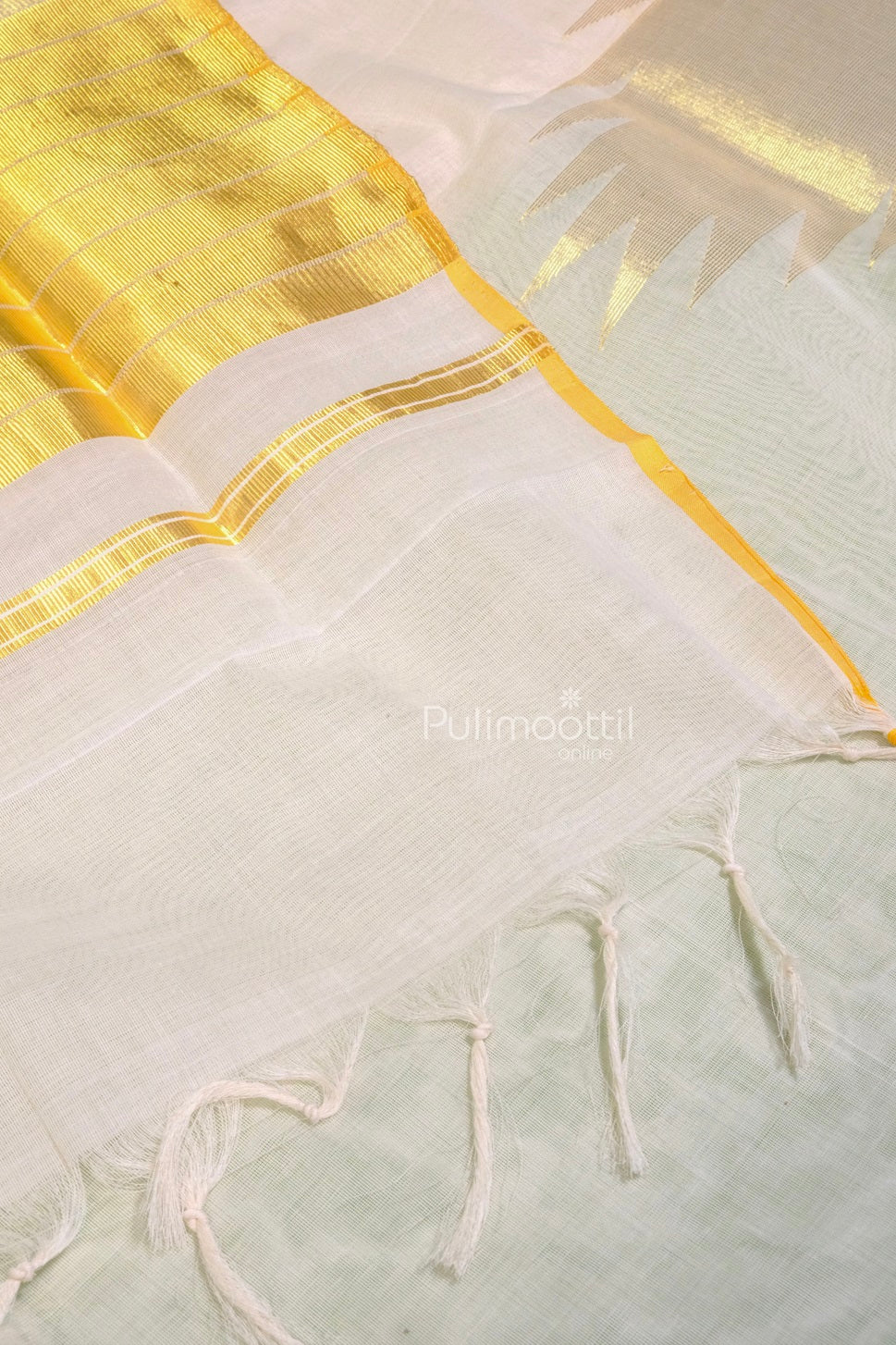 Side view of Kerala traditional saree featuring temple motif border and golden kasavu accents under warm lighting