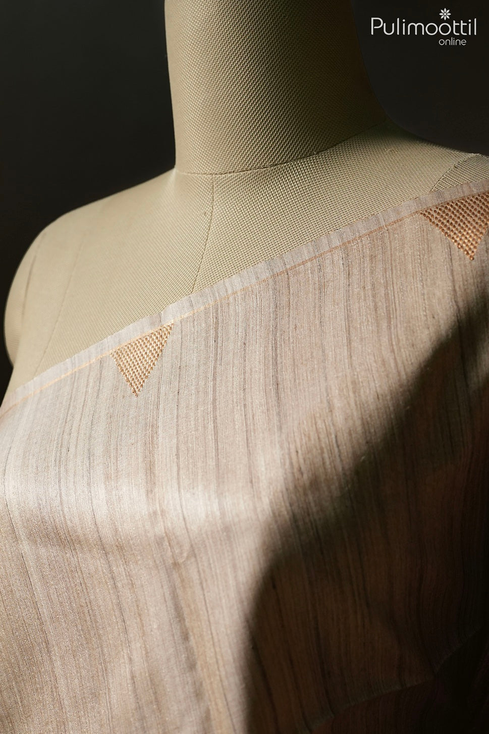 Chikku color Tussar silk saree