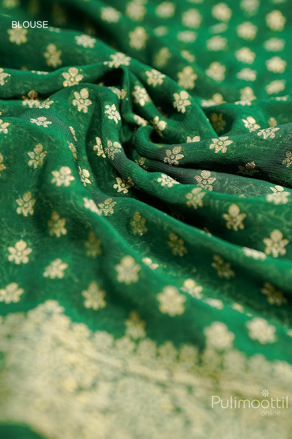 Close-up view of Green Colour Pure Georgette Banarasi Saree with Golden Floral Design, showcasing intricate weaving details